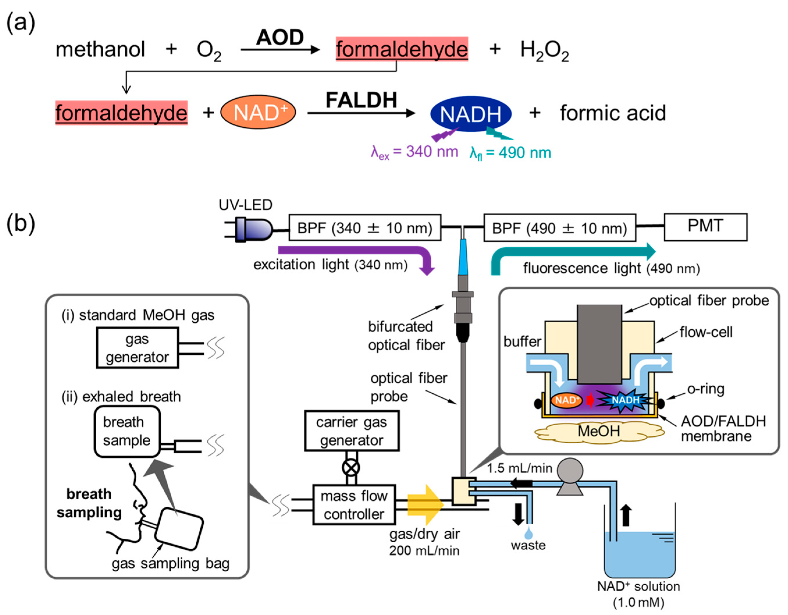Sensors 21 04897 g001