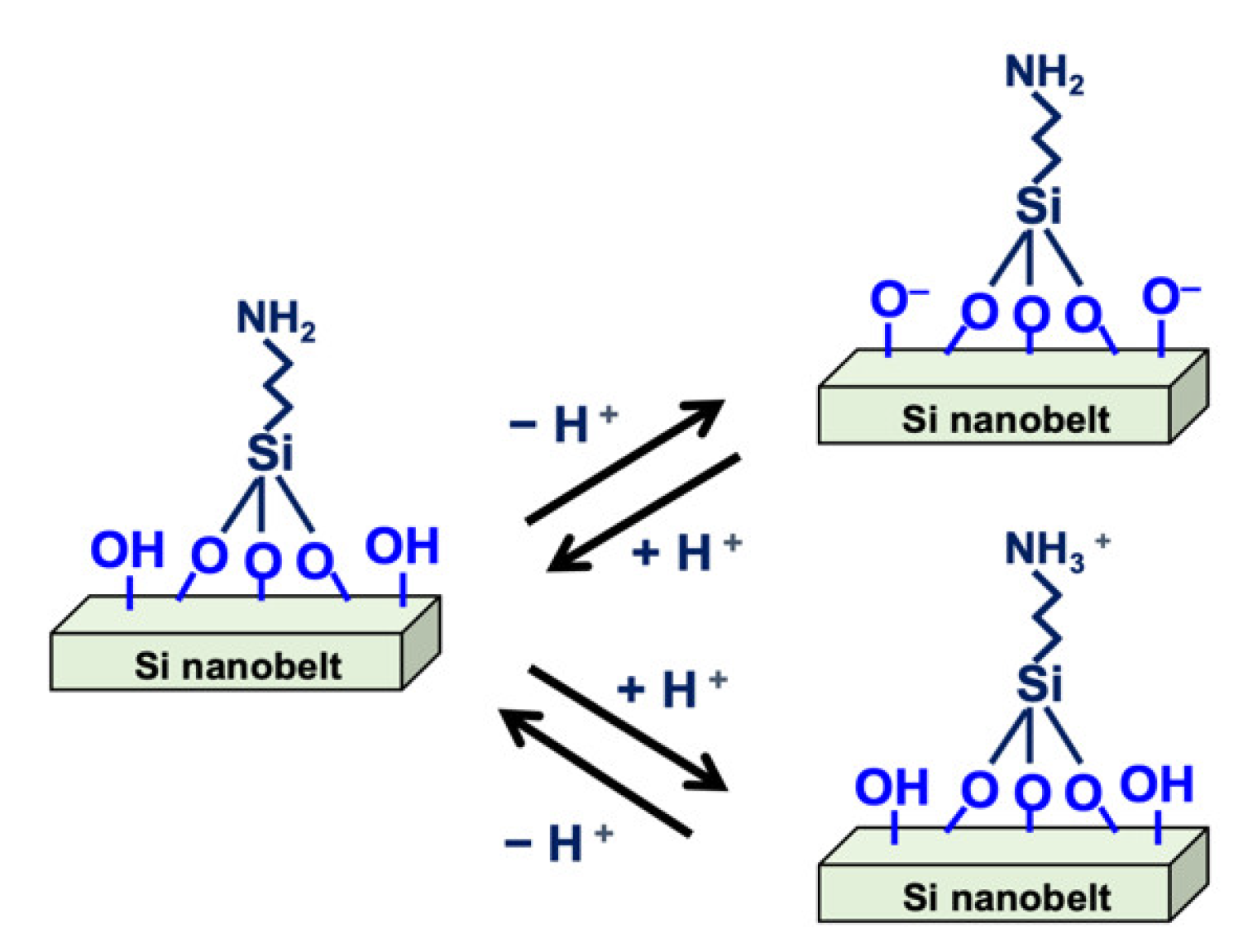 Sensors 21 04904 g005