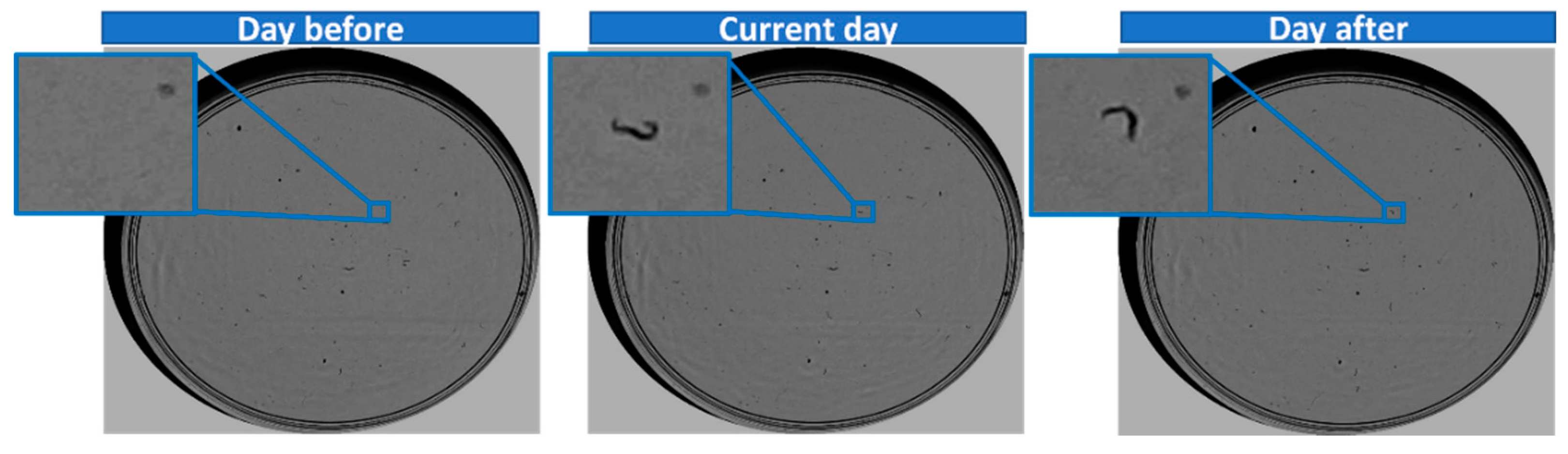 Sensors 21 04943 g003 550