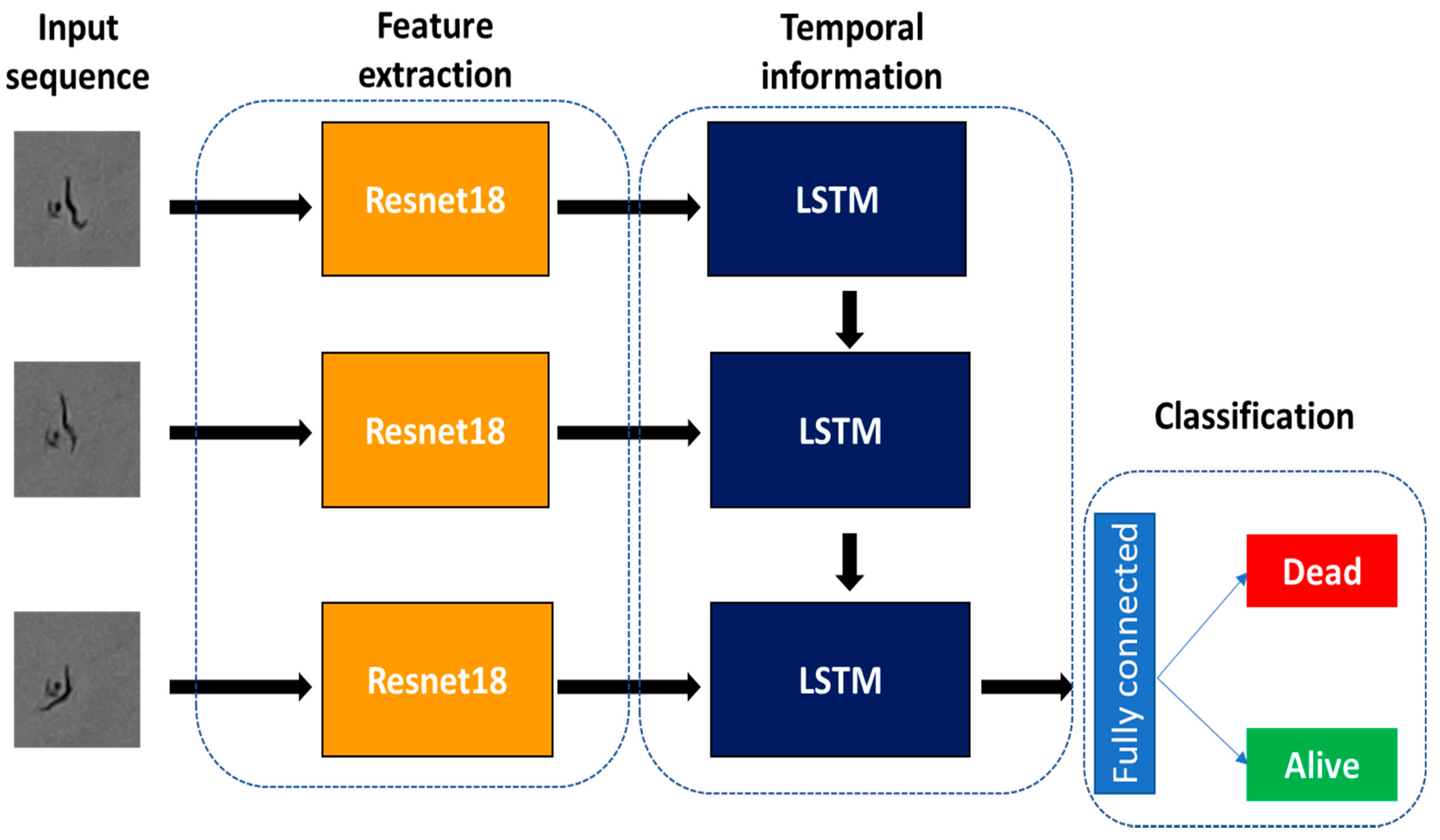 Sensors 21 04943 g005 550