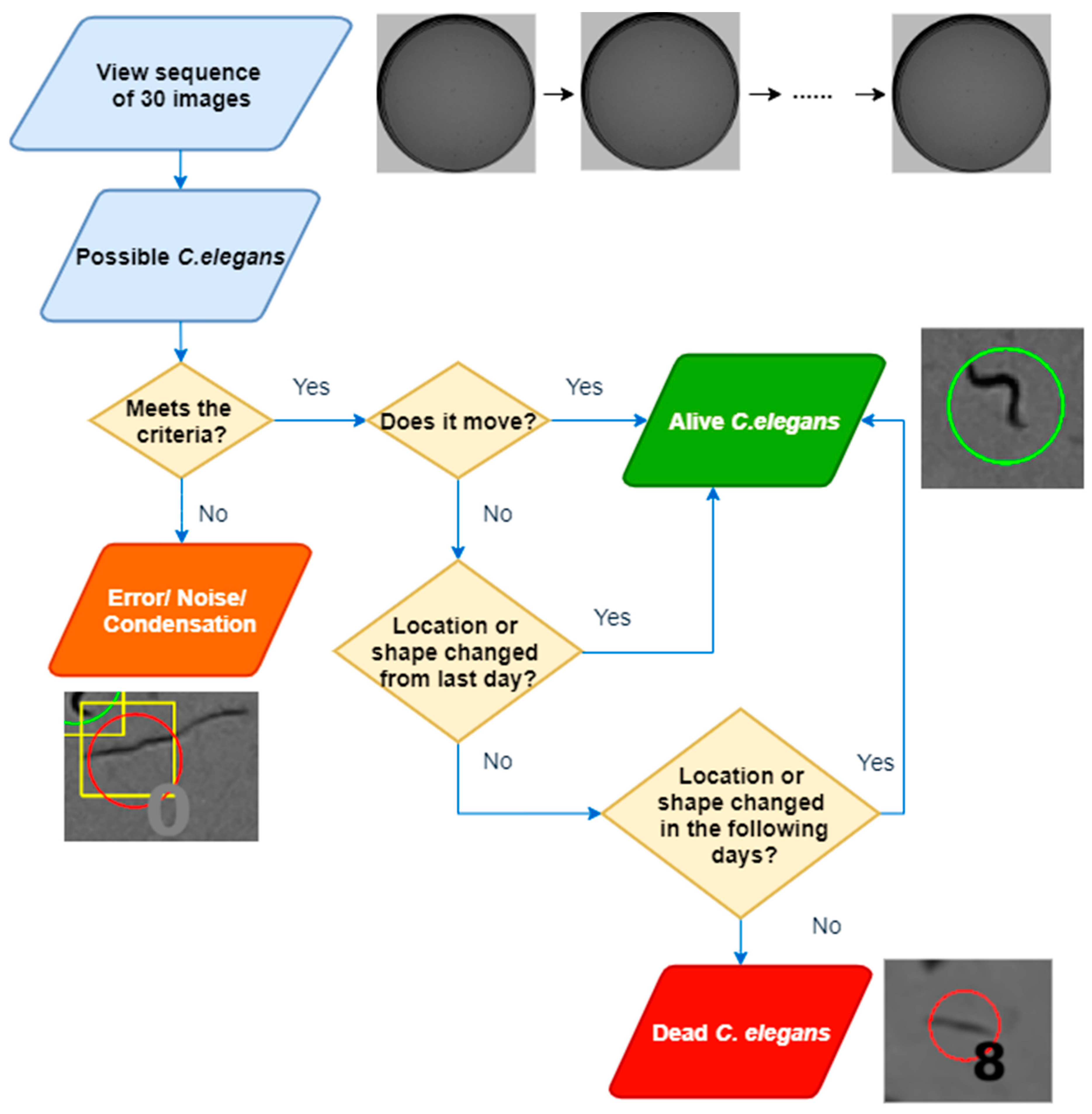Sensors 21 04943 g006 550