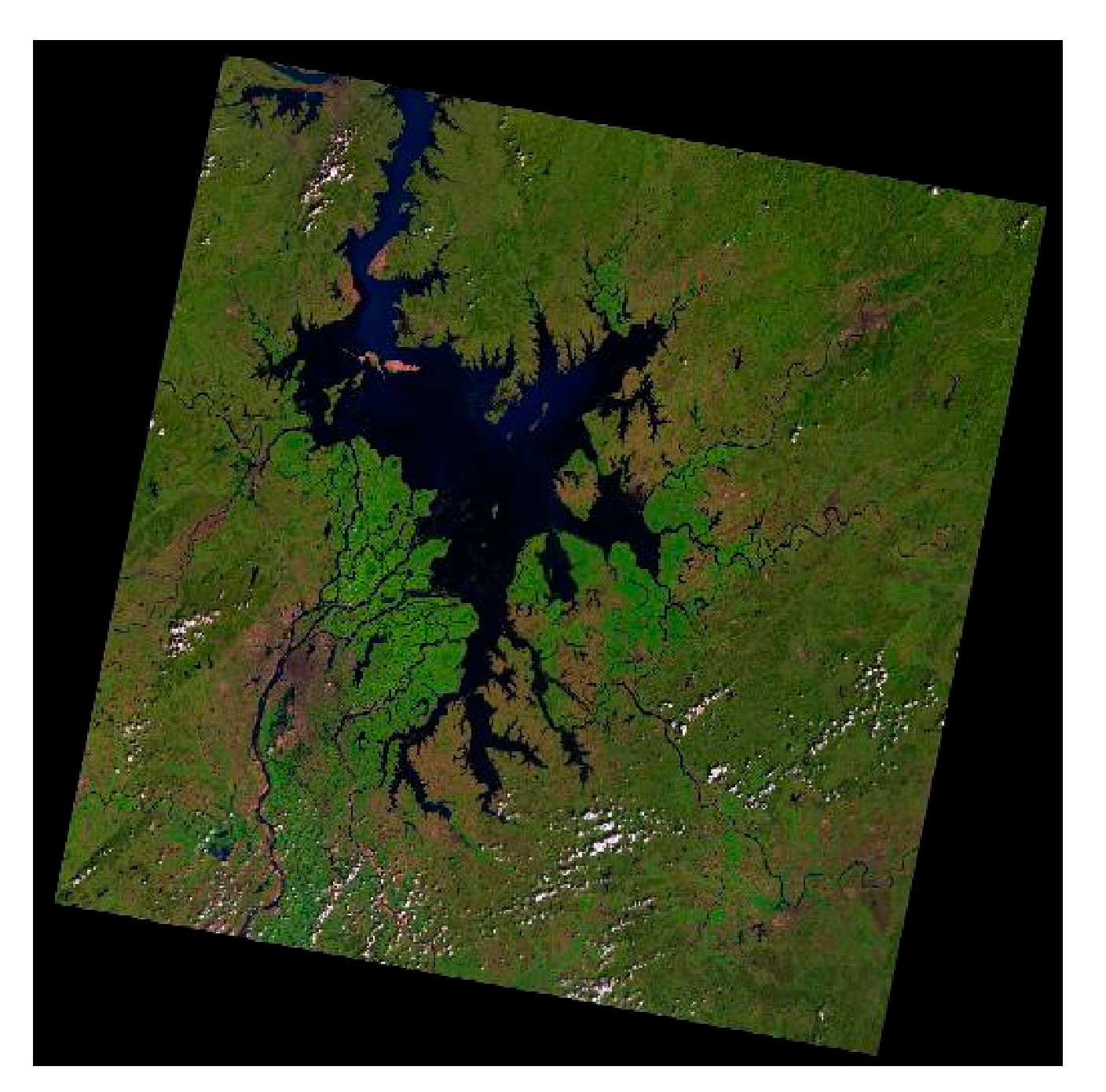 Sensors 21 04945 g001 550