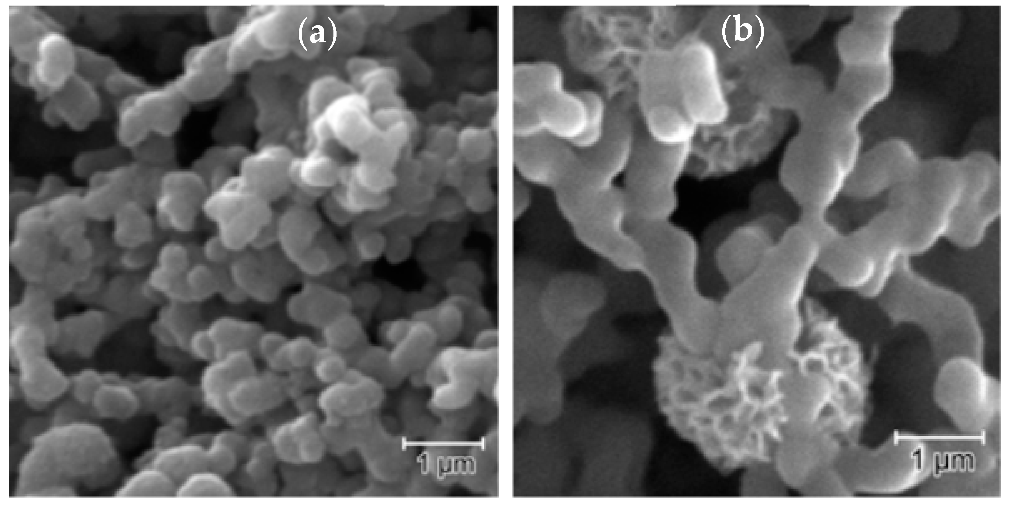 Sensors 21 04947 g002 550