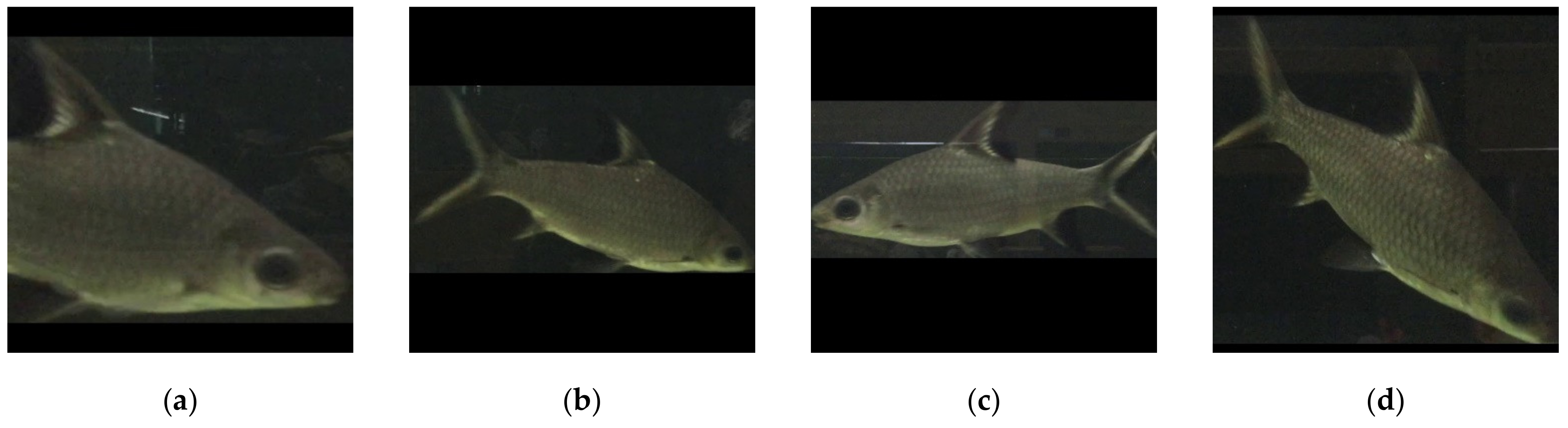 Sensors 21 04966 g002