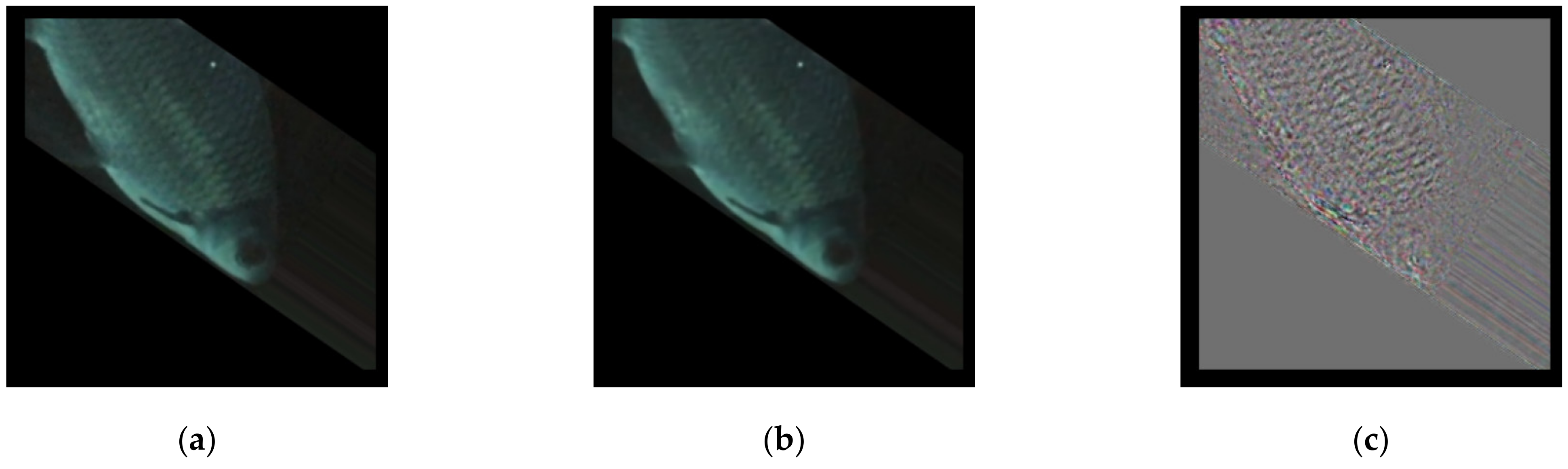 Sensors 21 04966 g006