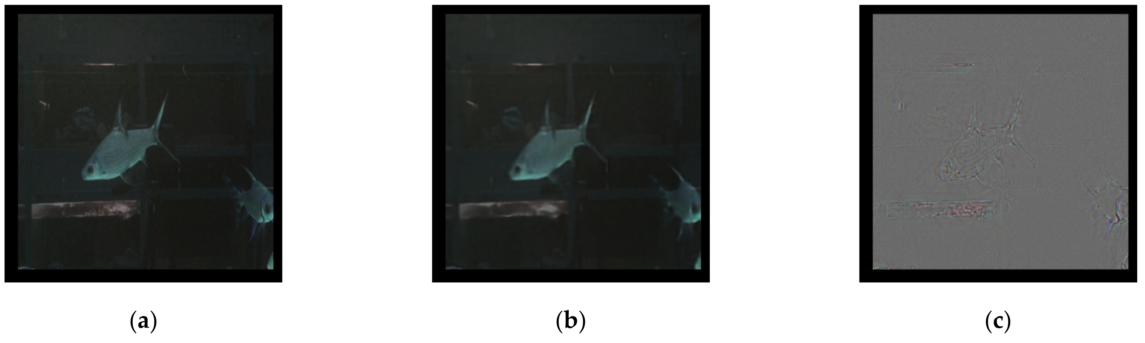 Sensors 21 04966 g008