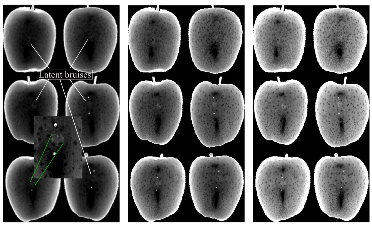 Sensors 21 04990 g004 550