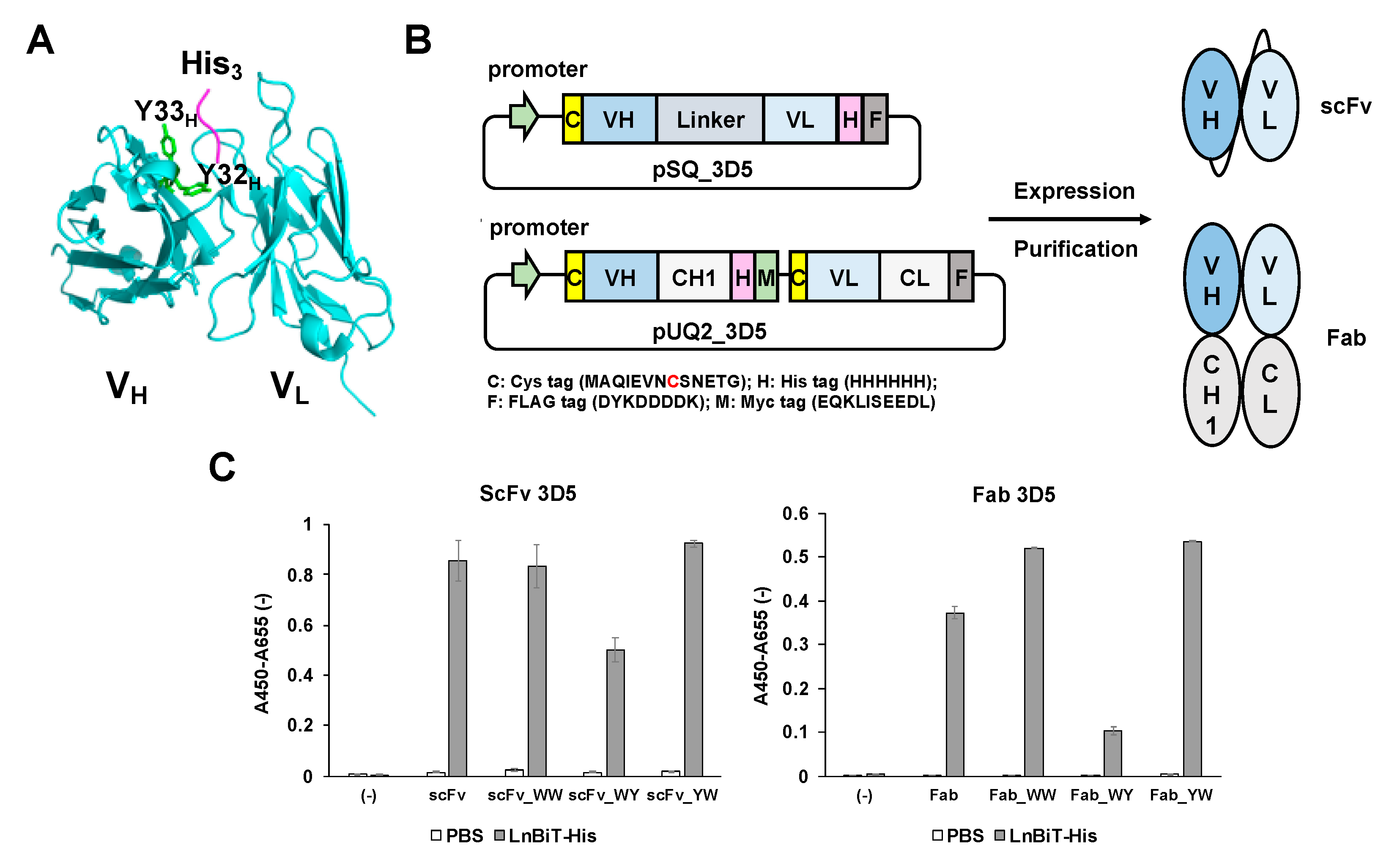 Sensors 21 04993 g001