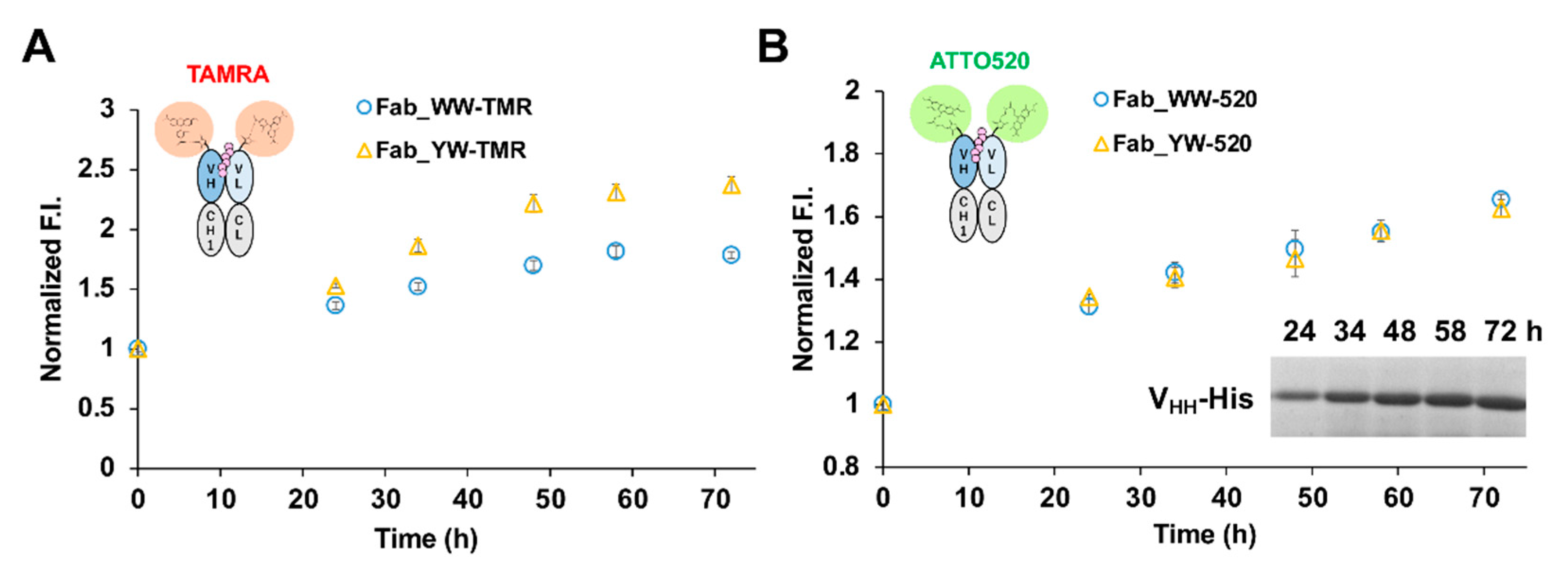 Sensors 21 04993 g006