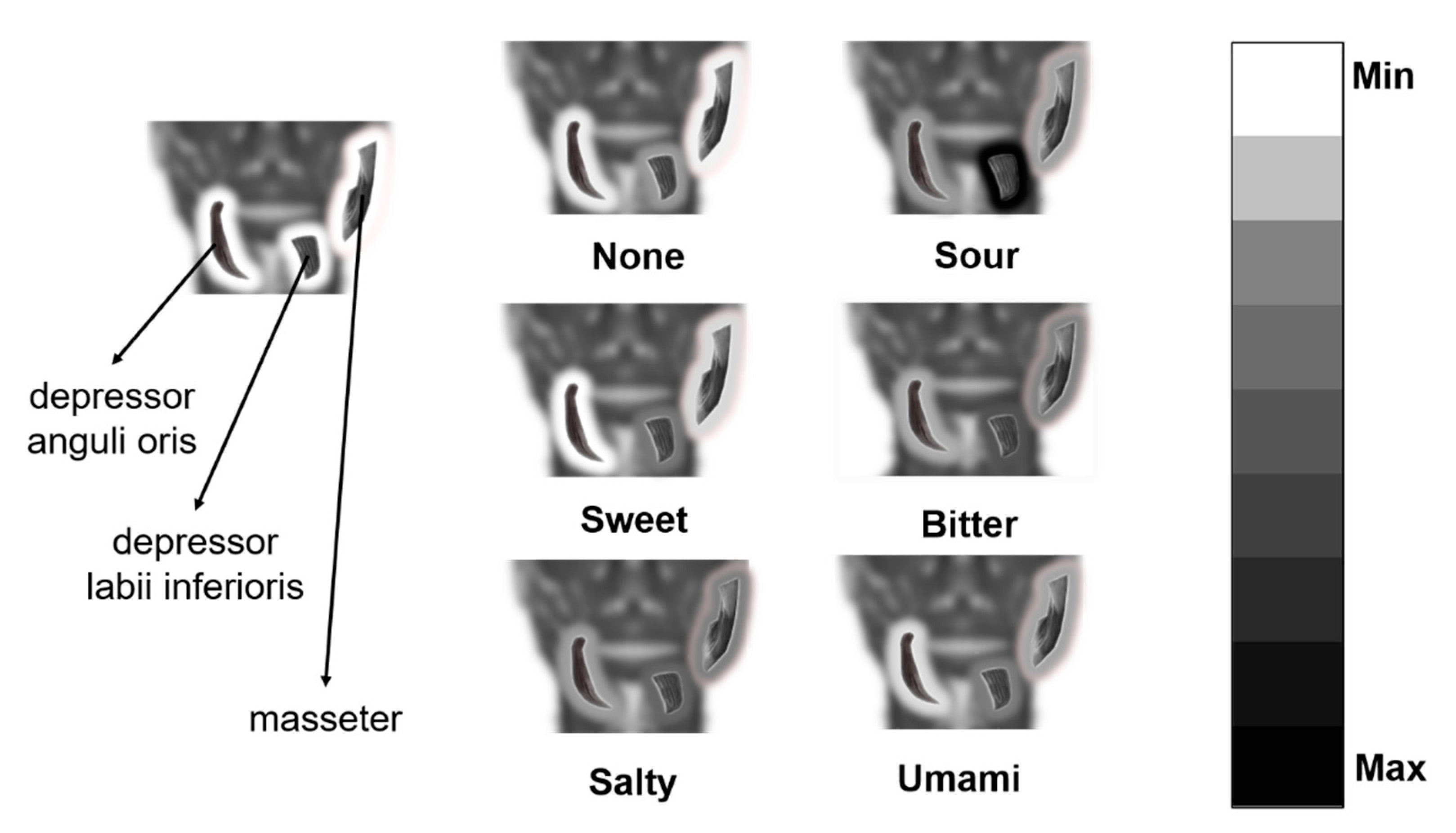 Sensors 21 04994 g009
