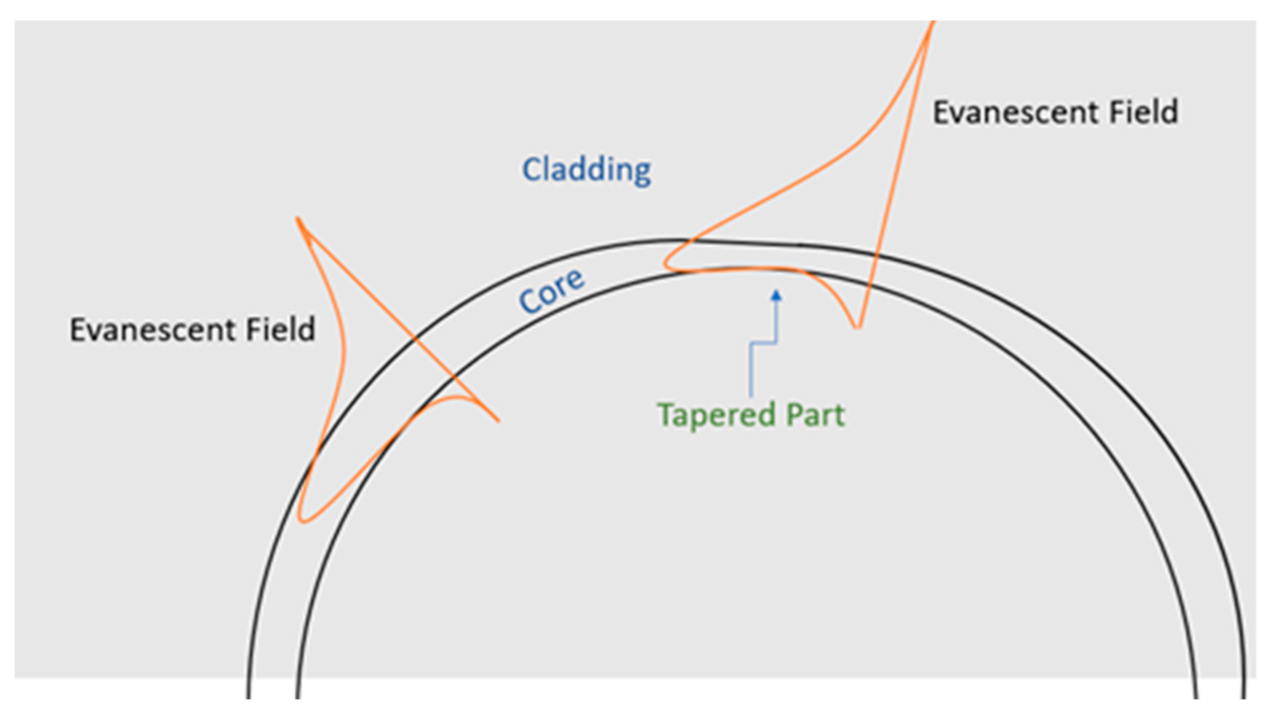 Sensors 21 05017 g002 550
