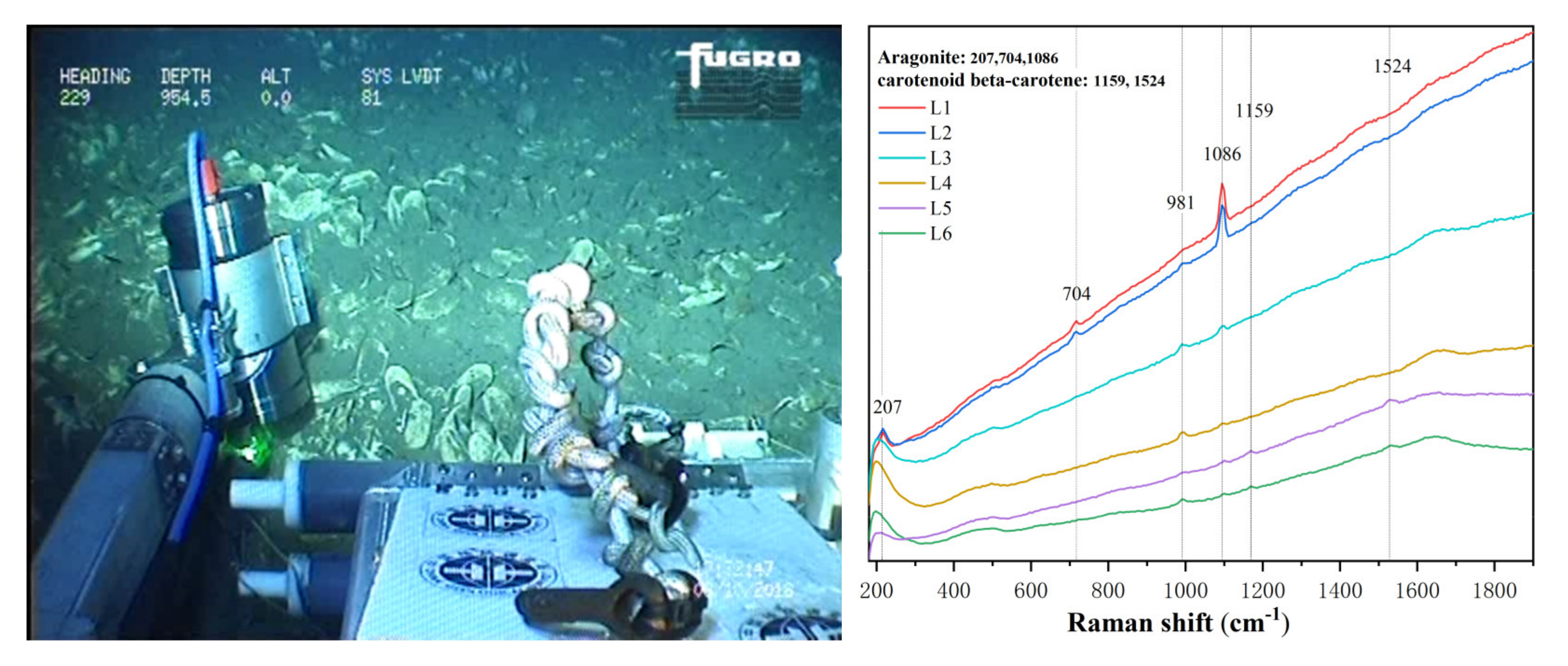Sensors 21 05090 g009