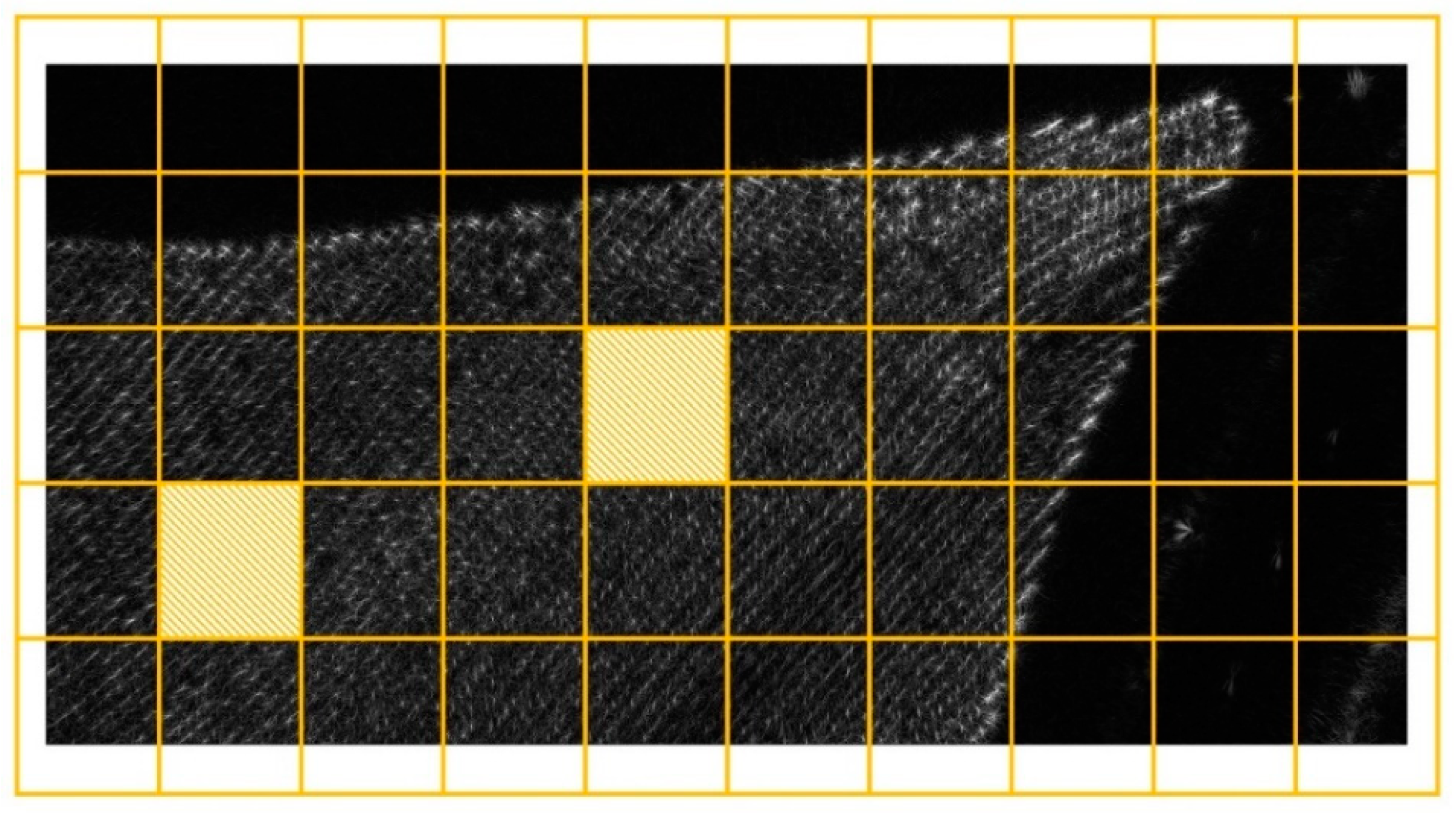 Sensors 21 05099 g008