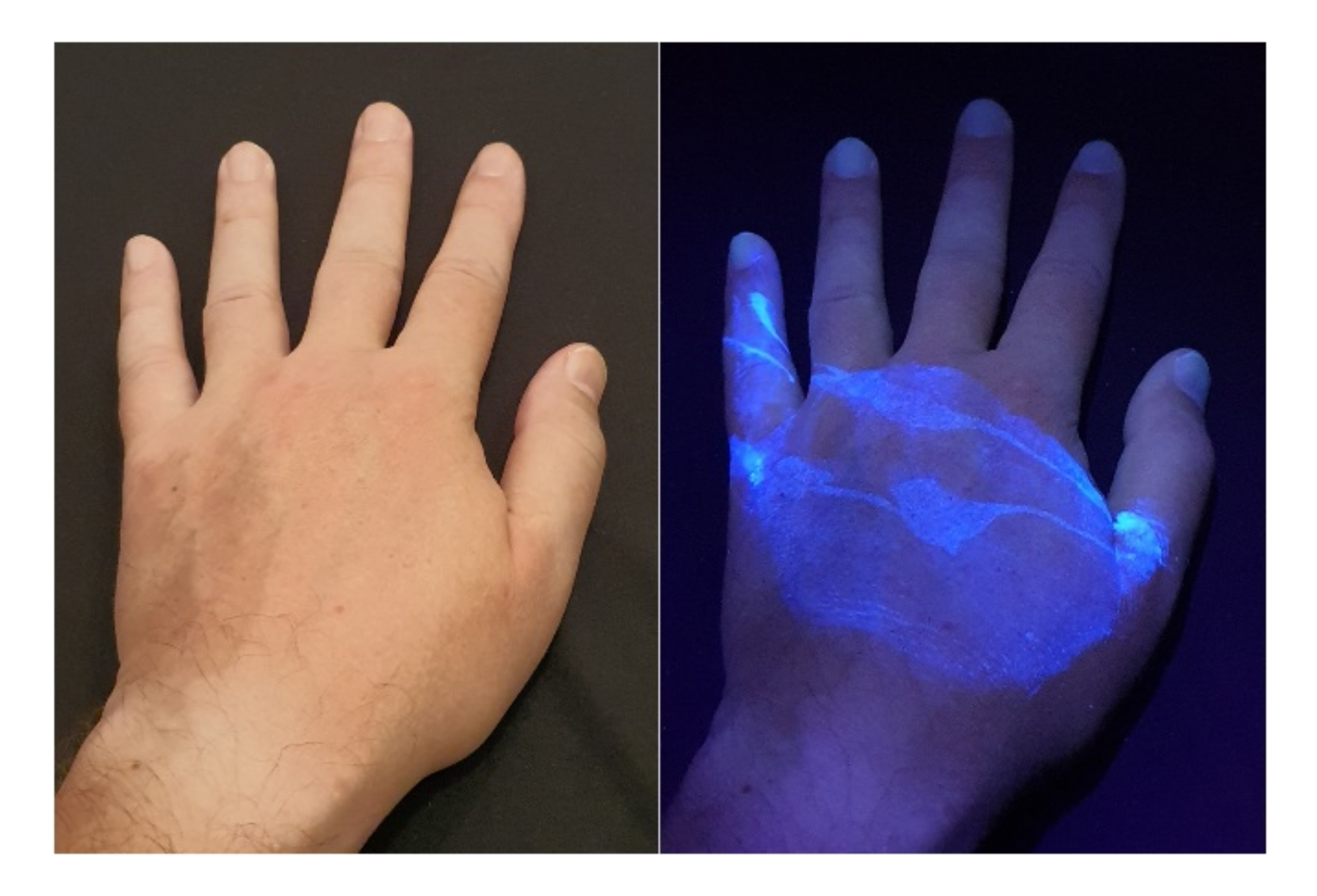 Sensors 21 05104 g011 550