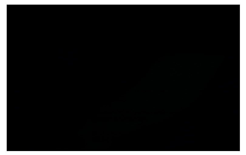 Sensors 21 05104 i019