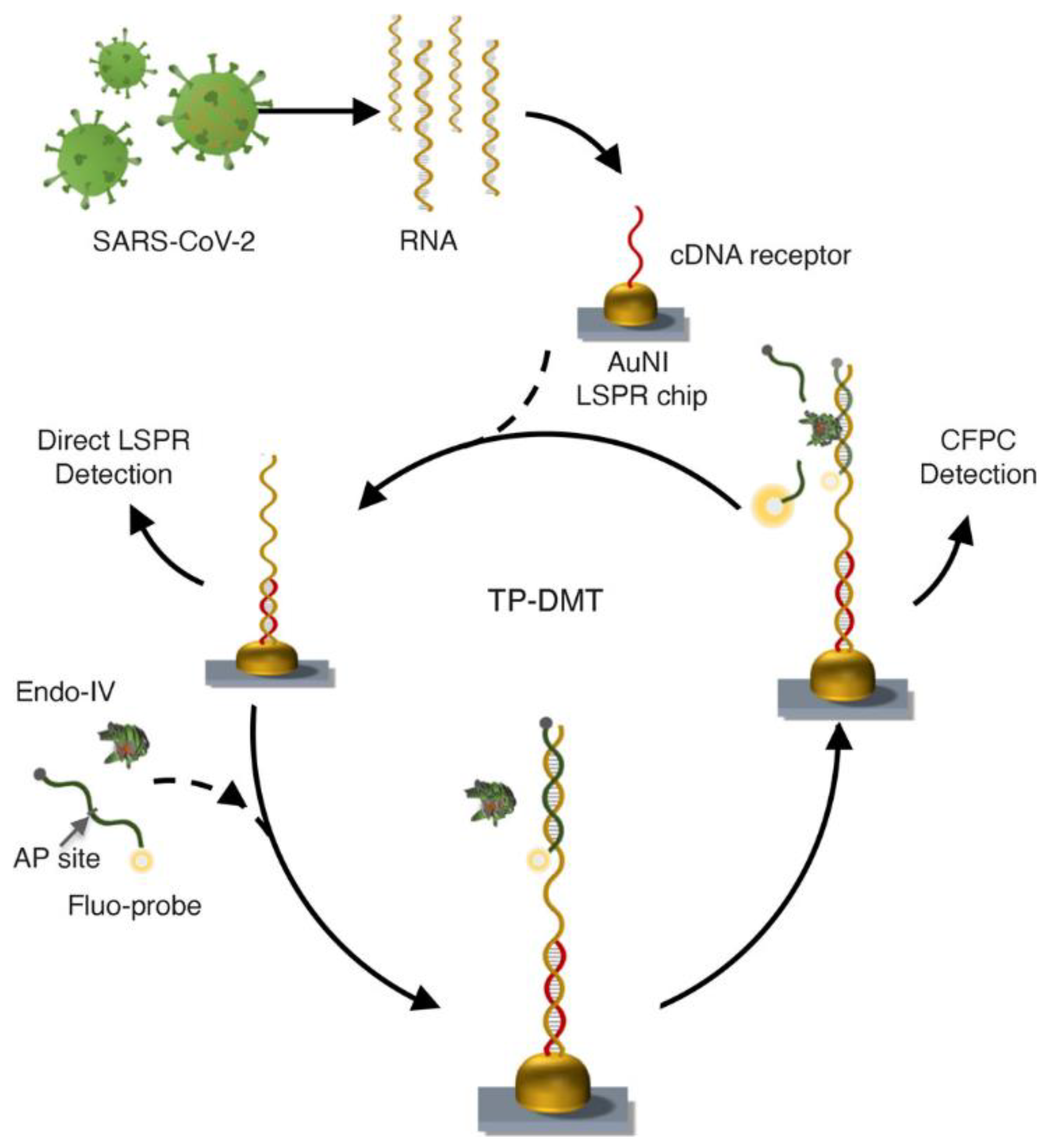 Sensors 21 05114 g004