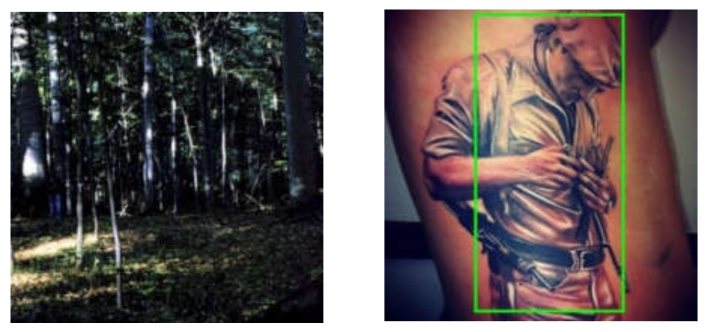 Sensors 21 05116 g018 550