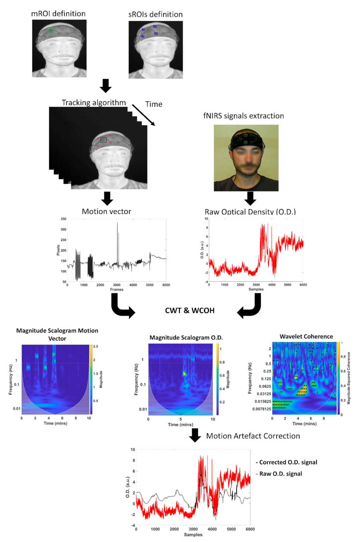 Sensors 21 05117 g005 550