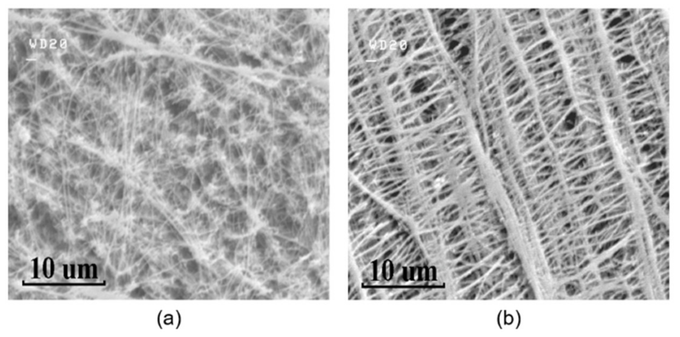 Sensors 21 05118 g003 550