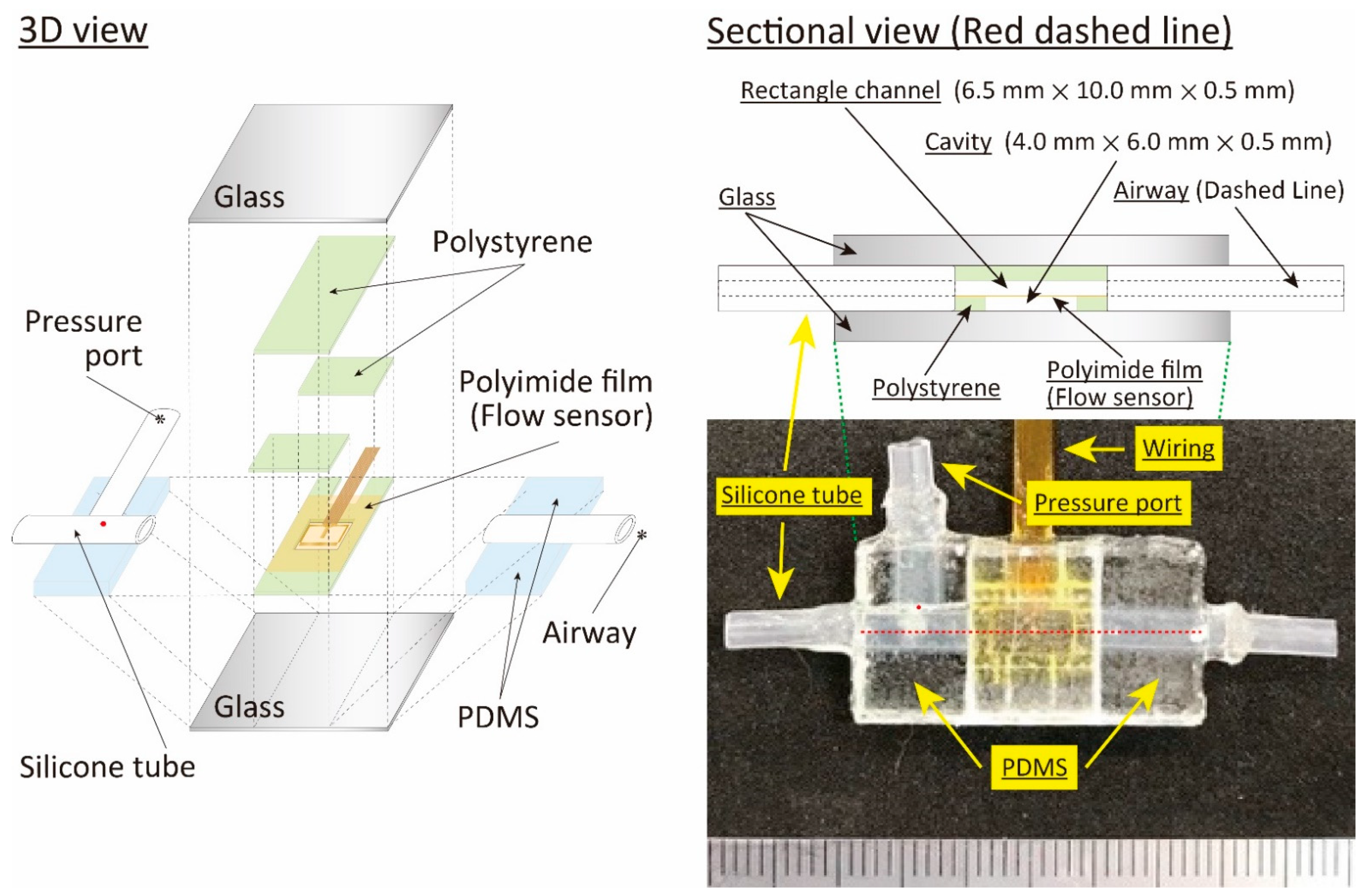 Sensors 21 05123 g001