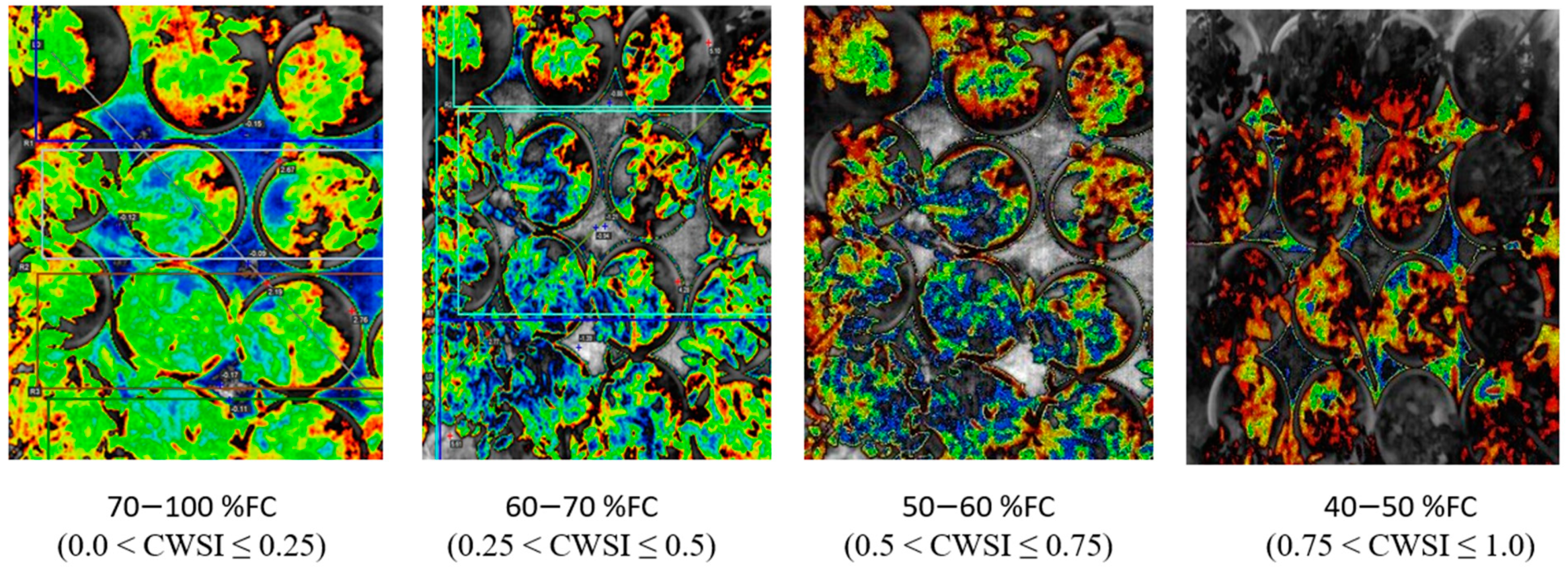 Sensors 21 05142 g006