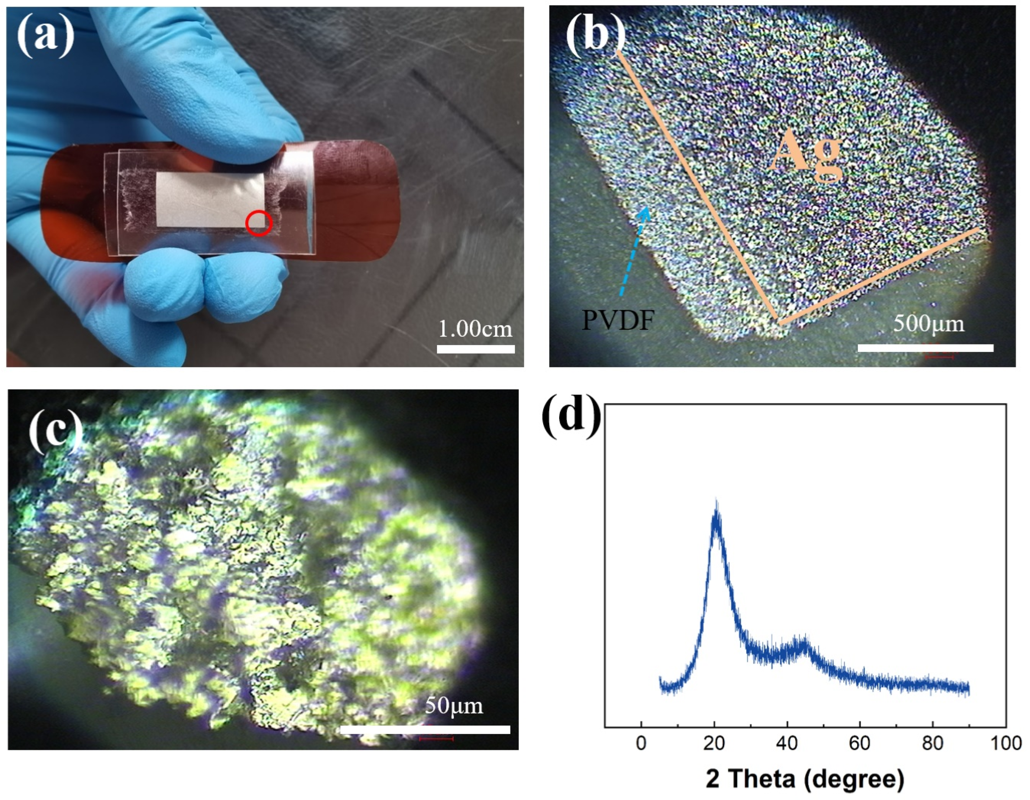 Sensors 21 05144 g002 550