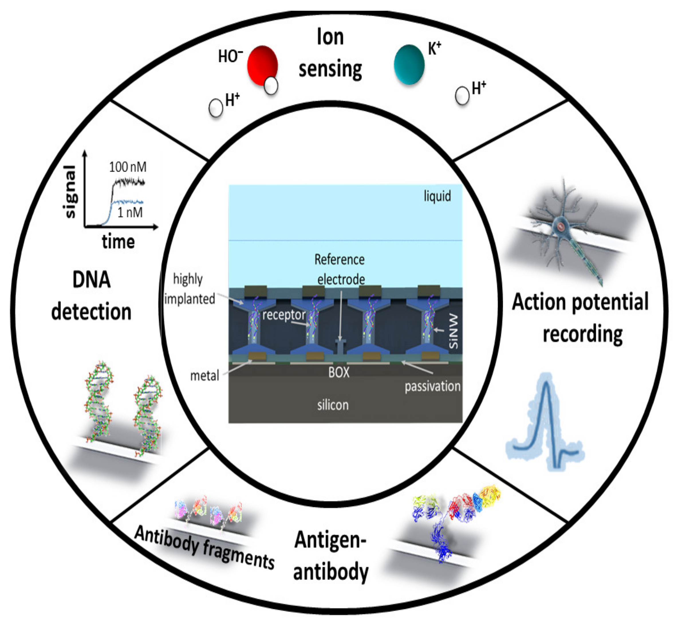 Sensors 21 05153 g001 Sensors 21 05153 g001