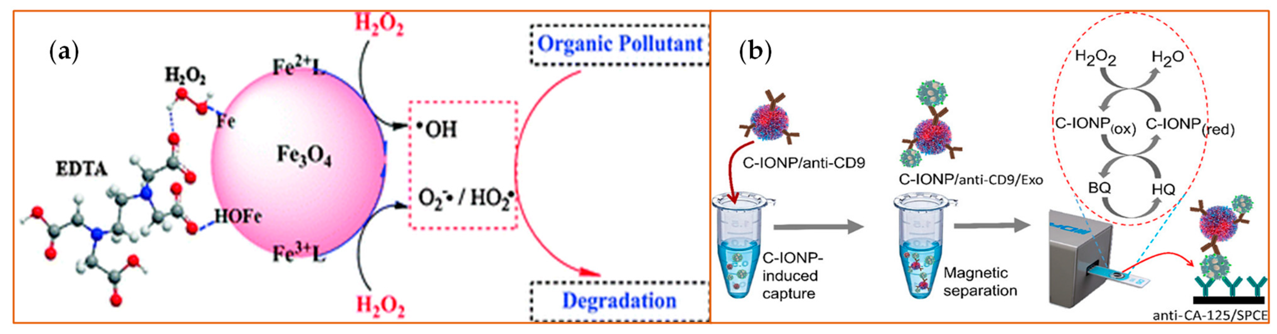 Sensors Free Full Text Nanozymes Hitting The Biosensing Target Html