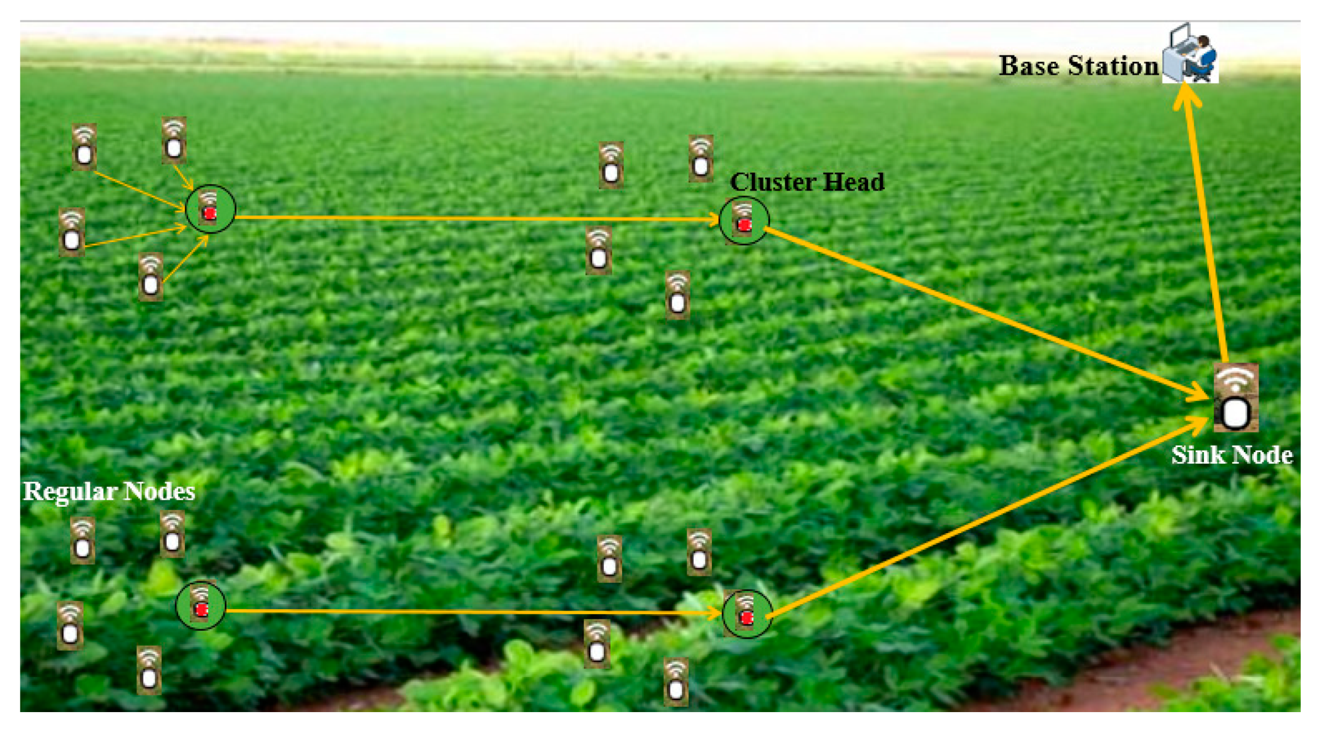 Sensors 21 05206 g003