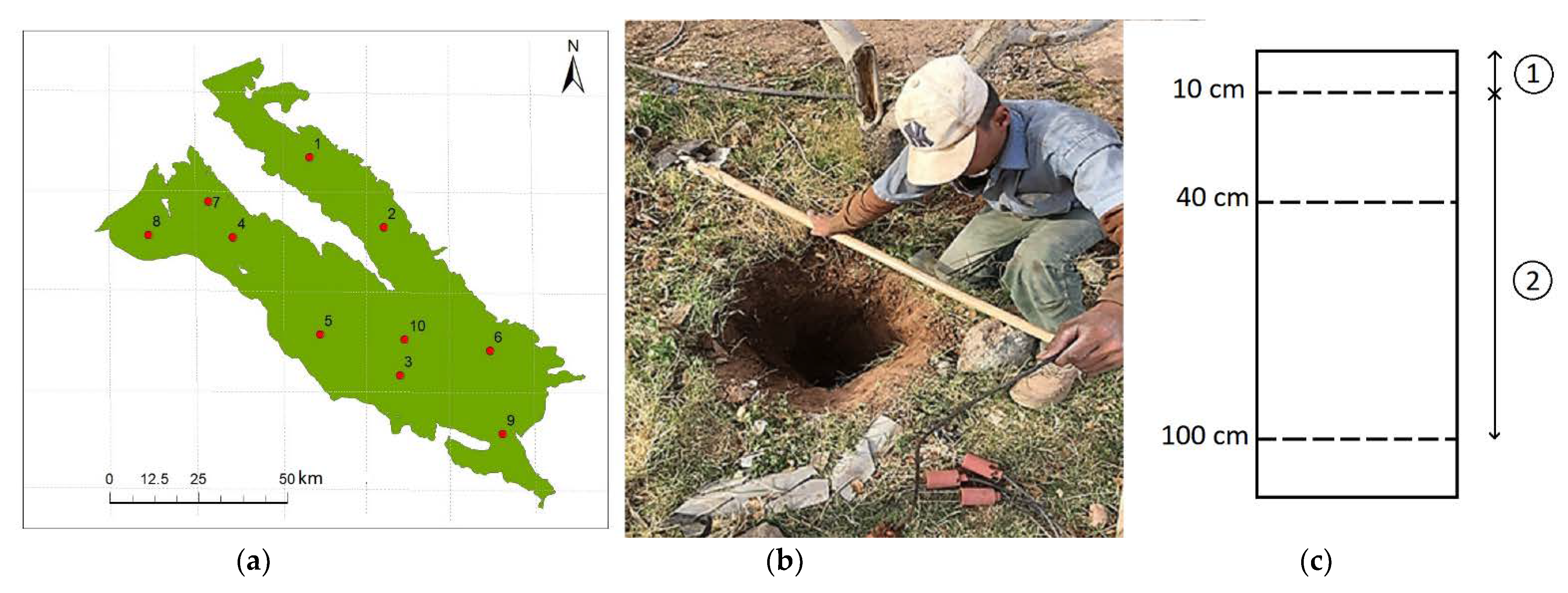 Sensors 21 05211 g002