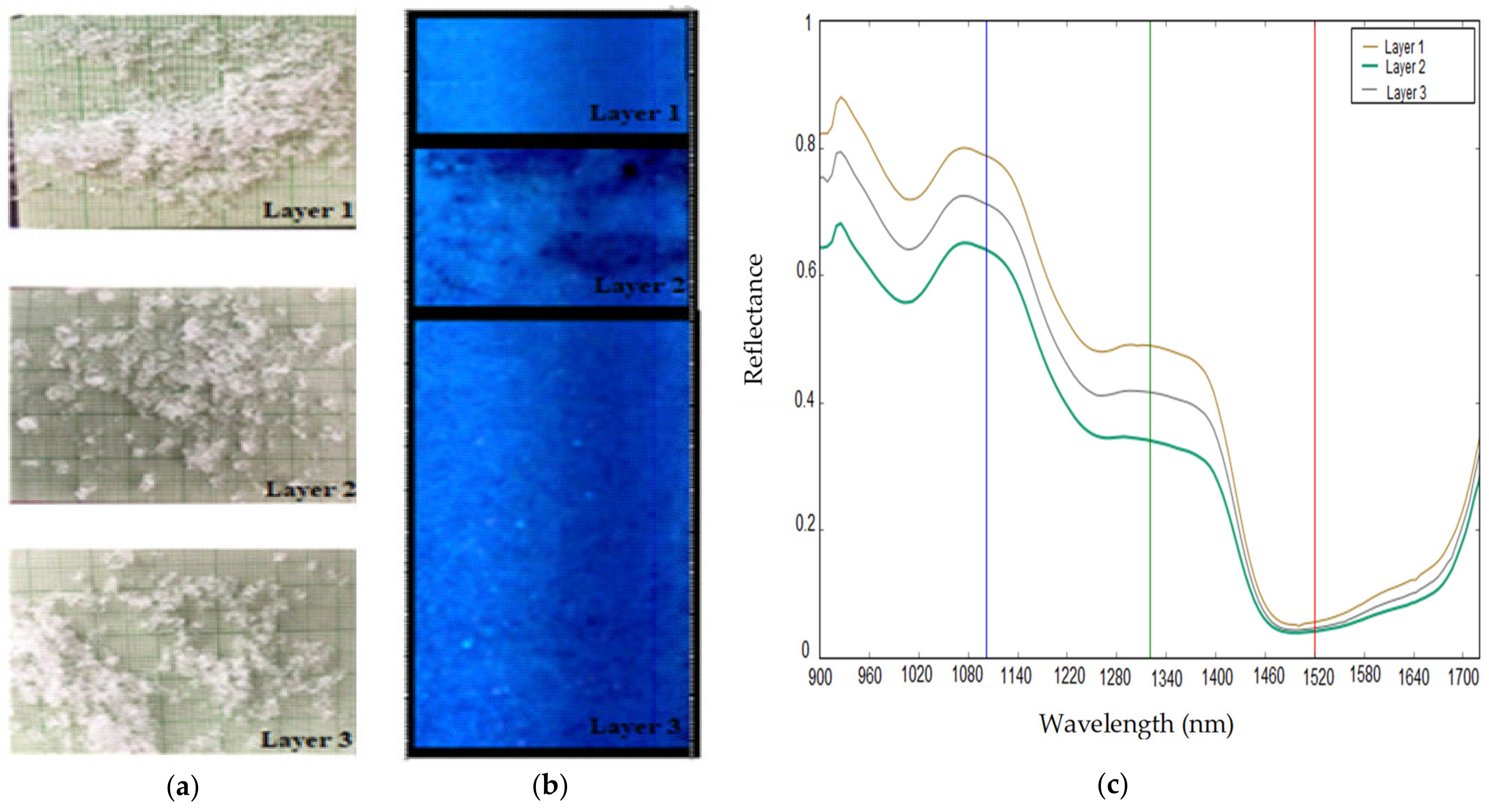 Sensors 21 05259 g008 Sensors 21 05259 g008