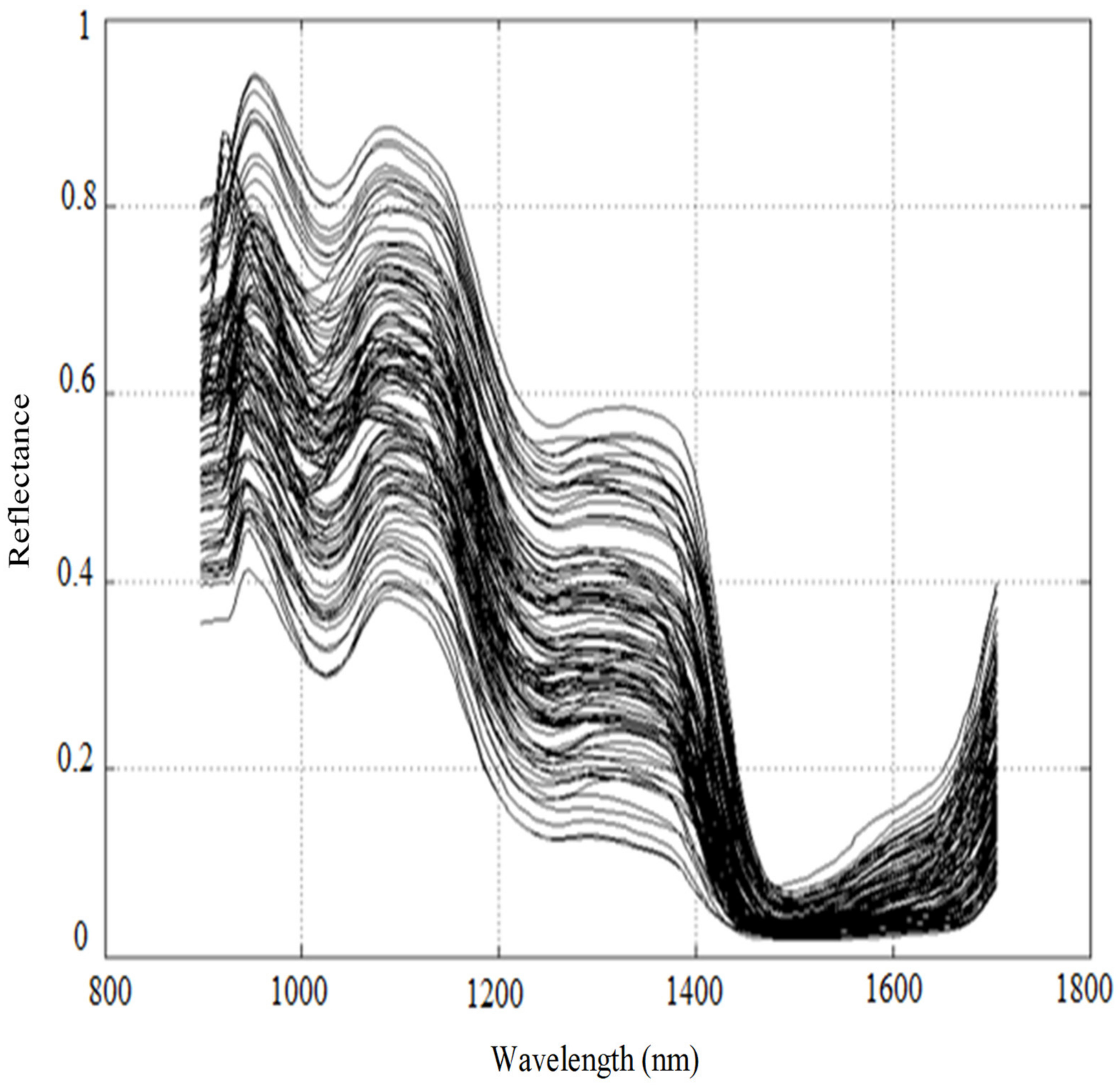 Sensors 21 05259 g010 Sensors 21 05259 g010