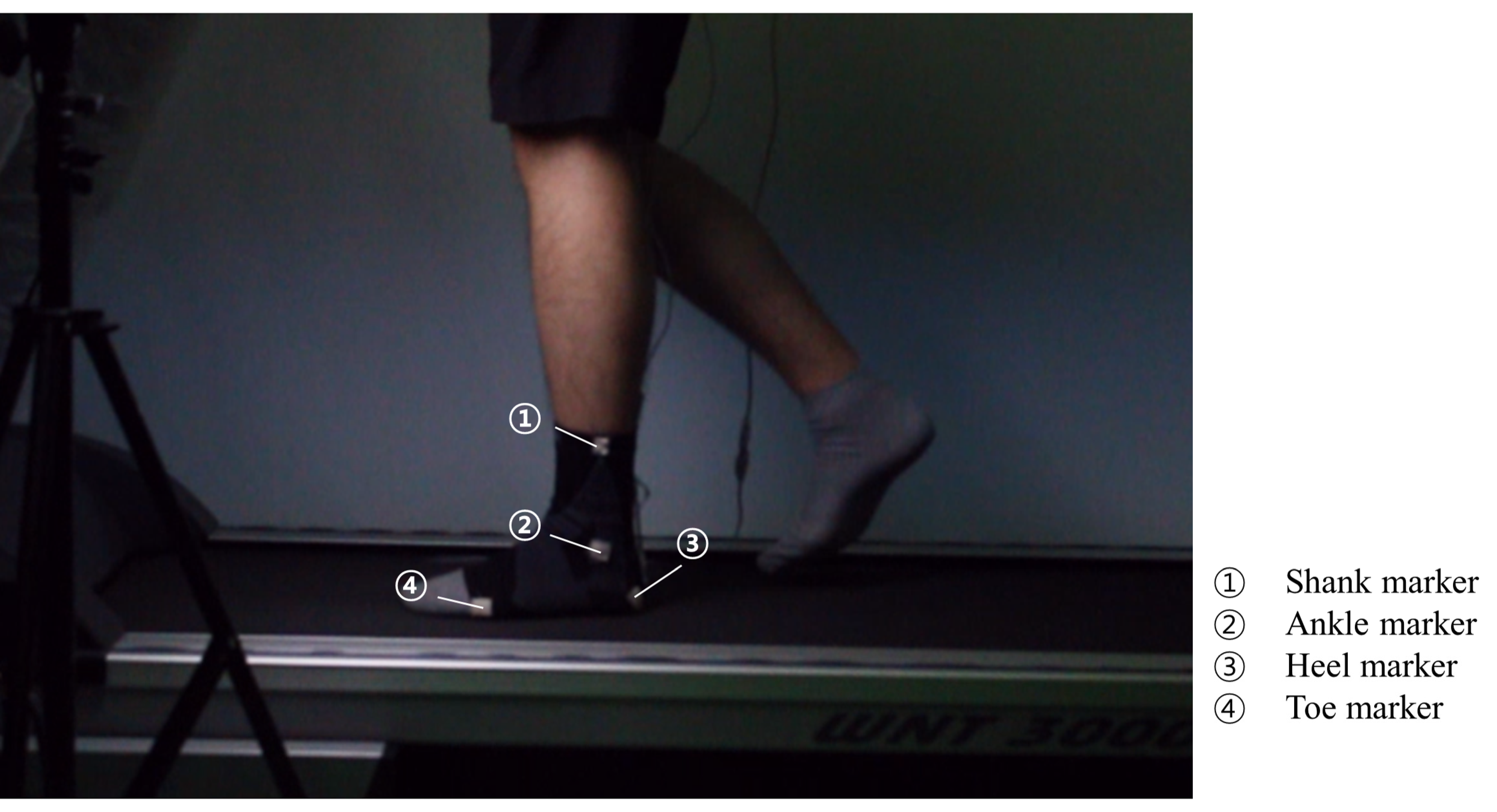 Sensors 21 05299 g006 550