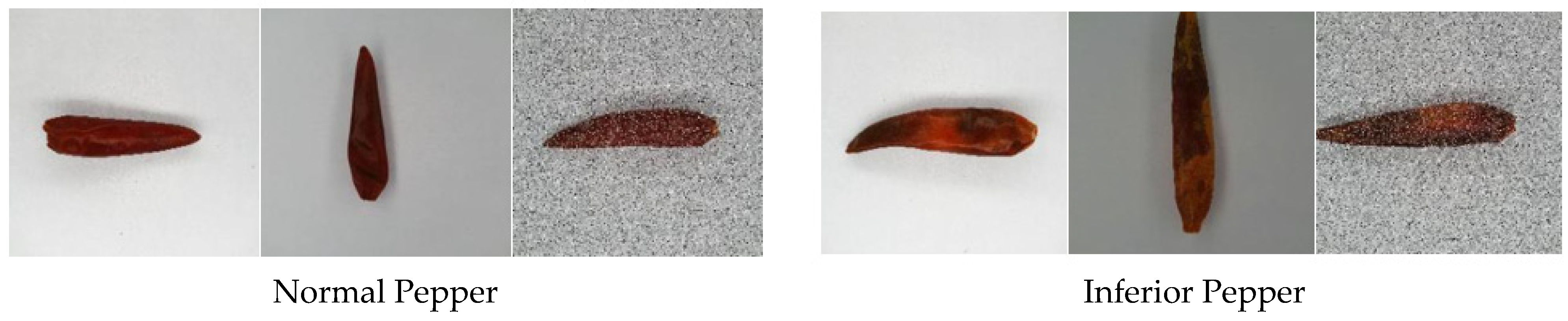 Sensors 21 05305 g001 550