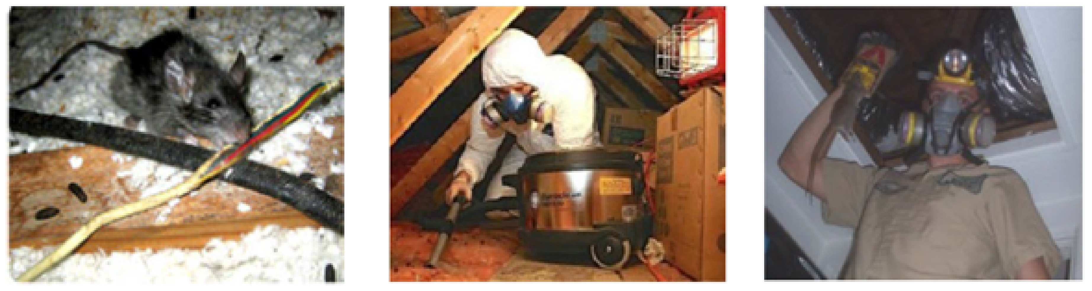 Sensors 21 05326 g001 Sensors 21 05326 g001