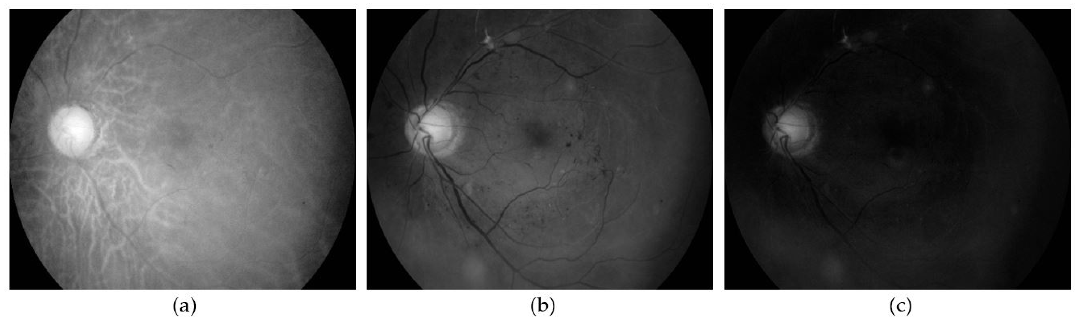 Sensors 21 05327 g003 Sensors 21 05327 g003