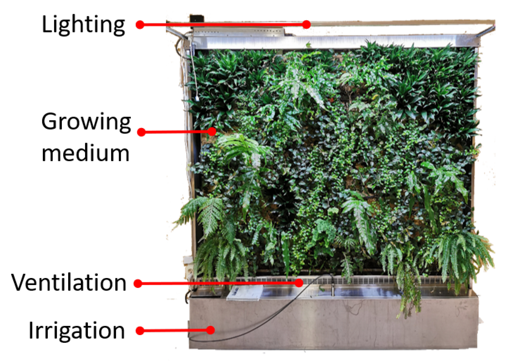Sensors 21 05355 g003 550