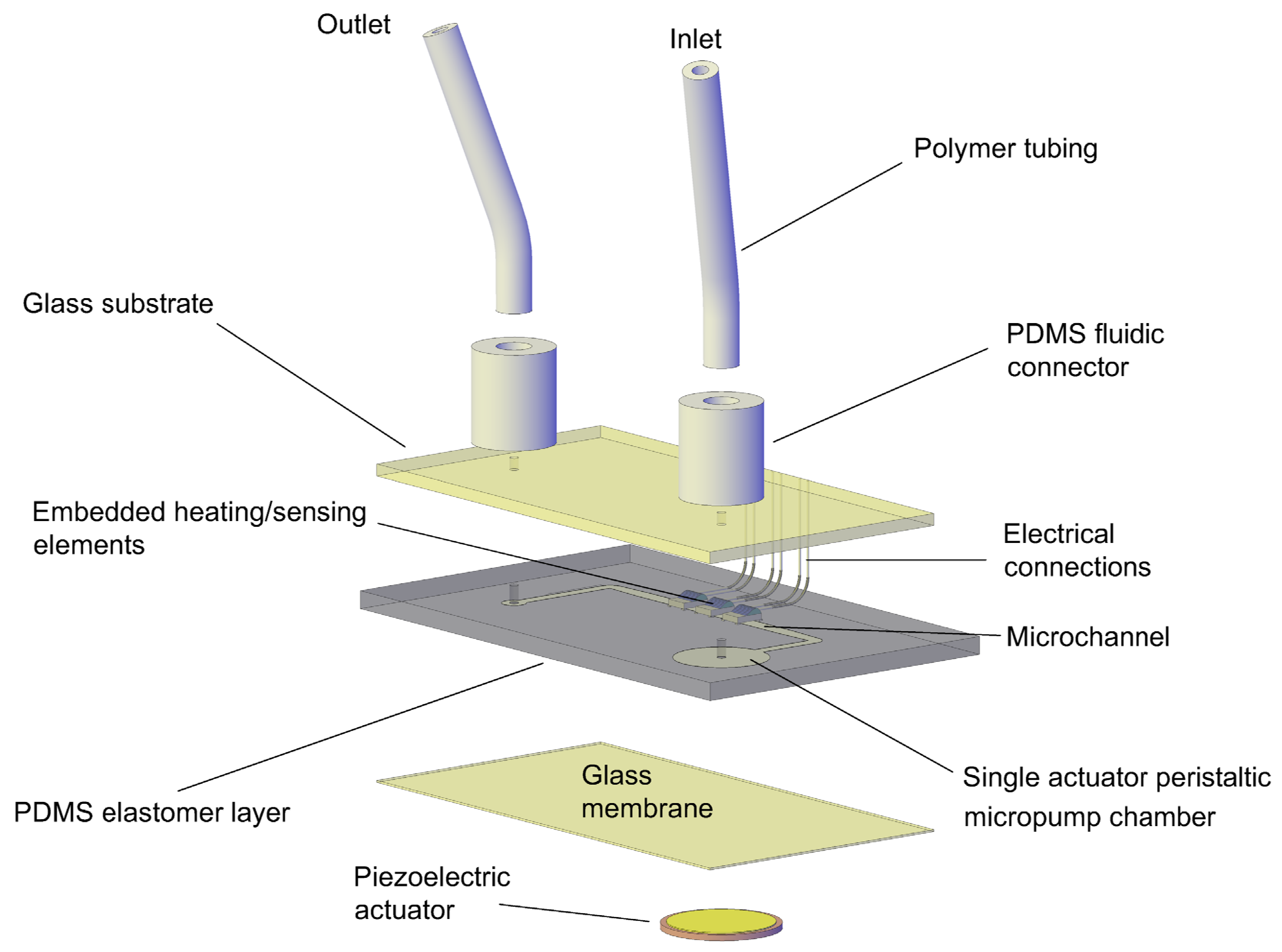 Sensors 21 05373 g001