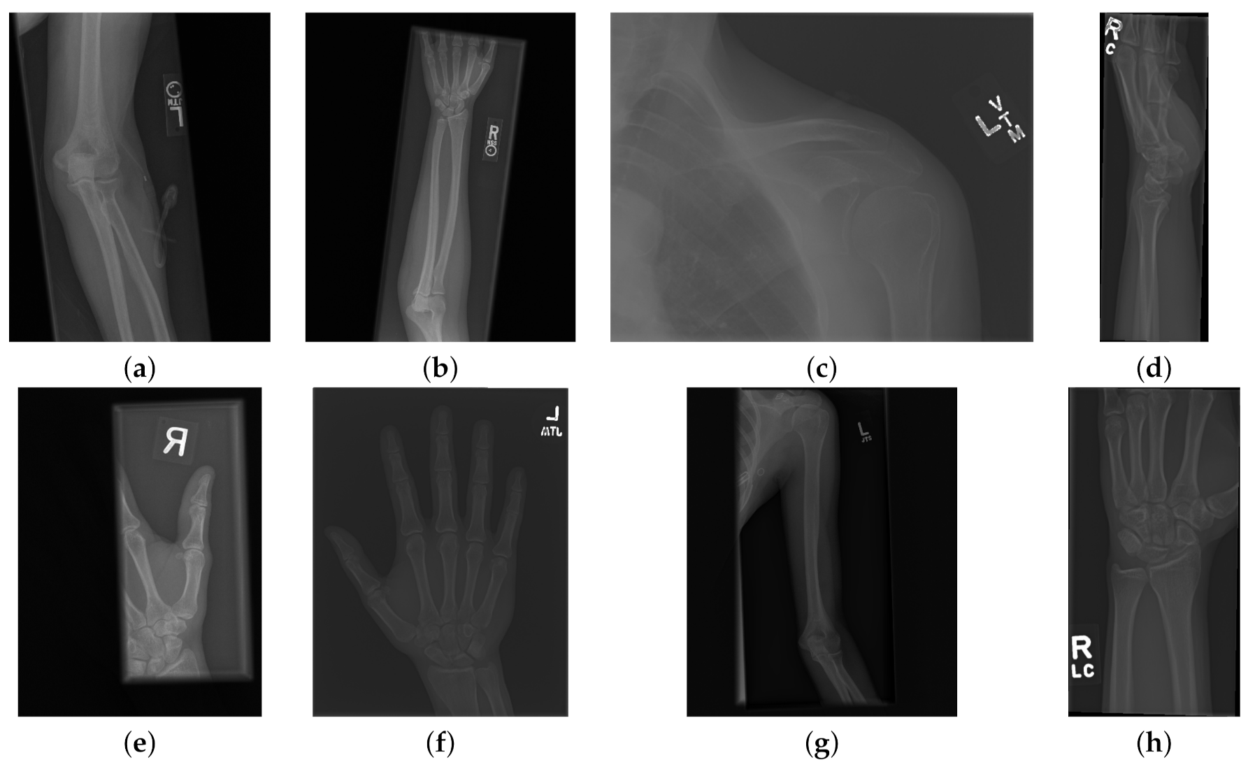 Sensors 21 05381 g001