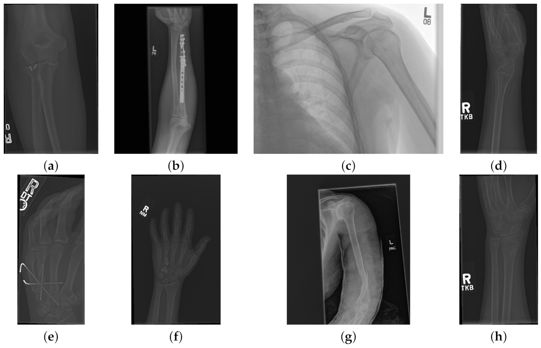 Sensors 21 05381 g002