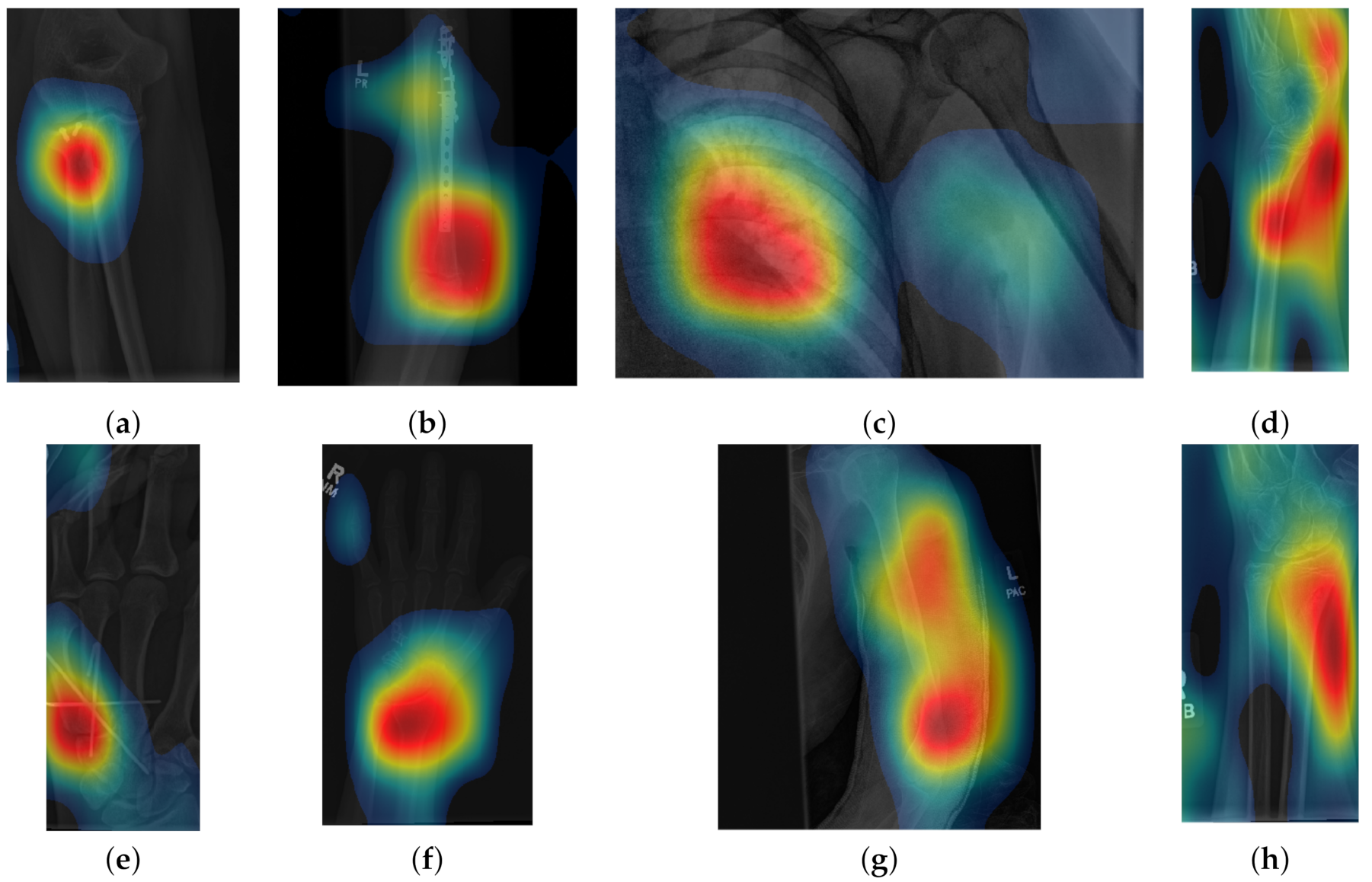 Sensors 21 05381 g008