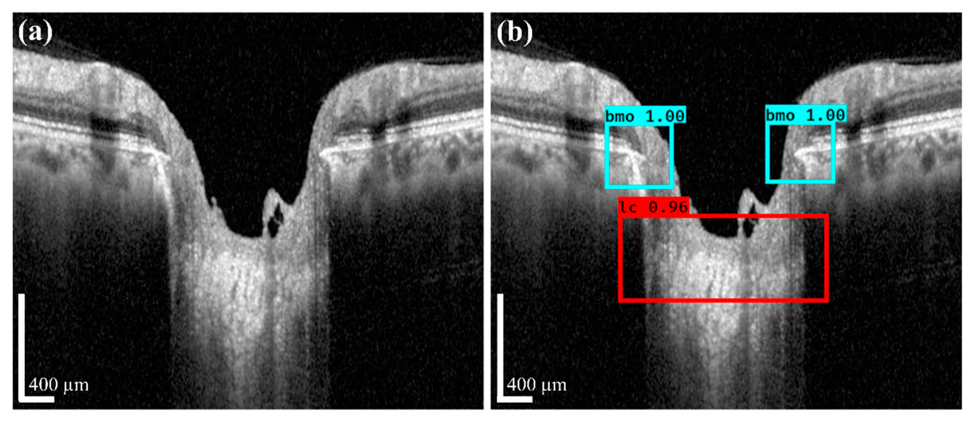 Sensors 21 05383 g008 550