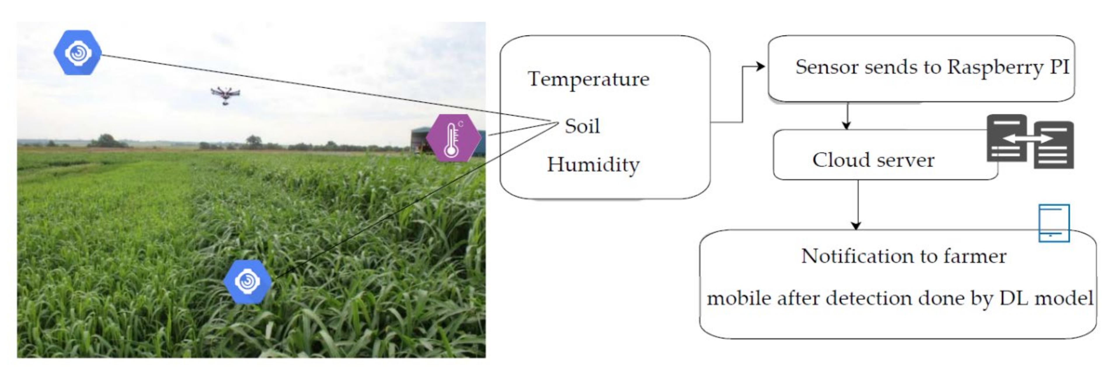 Sensors 21 05386 g002 550