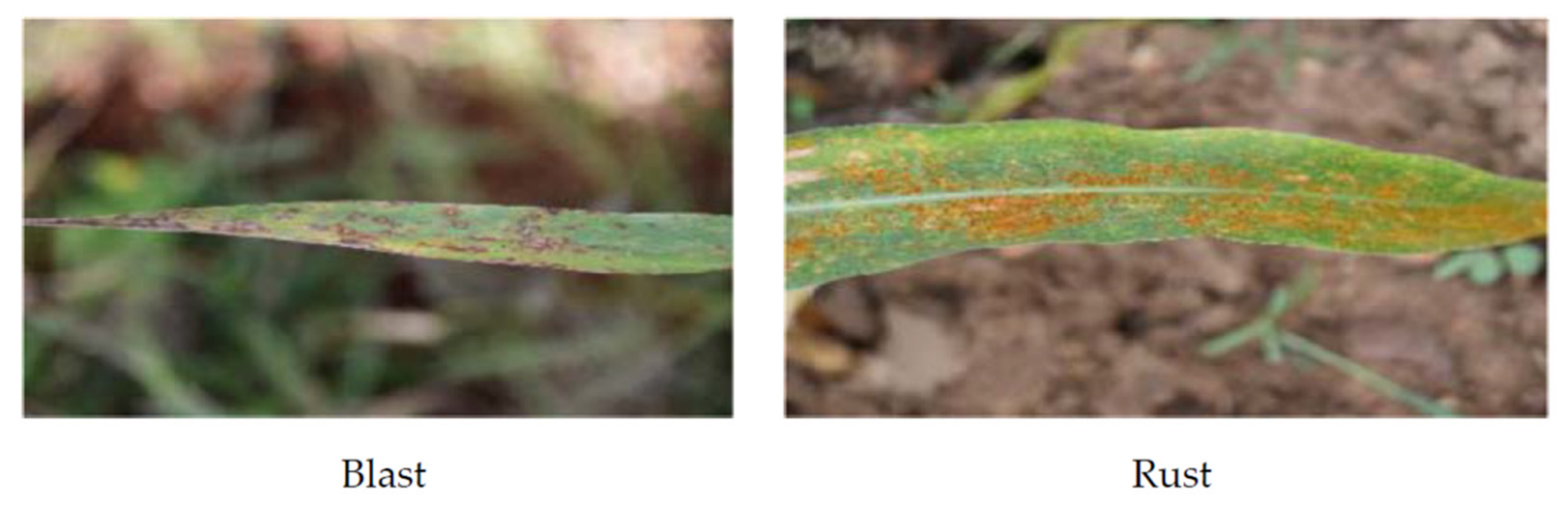 Sensors 21 05386 g003 550