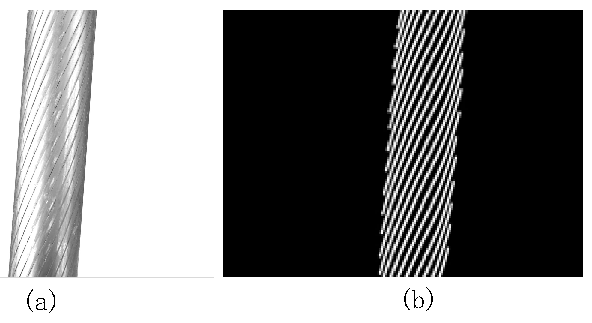 single layer wire rope free sample