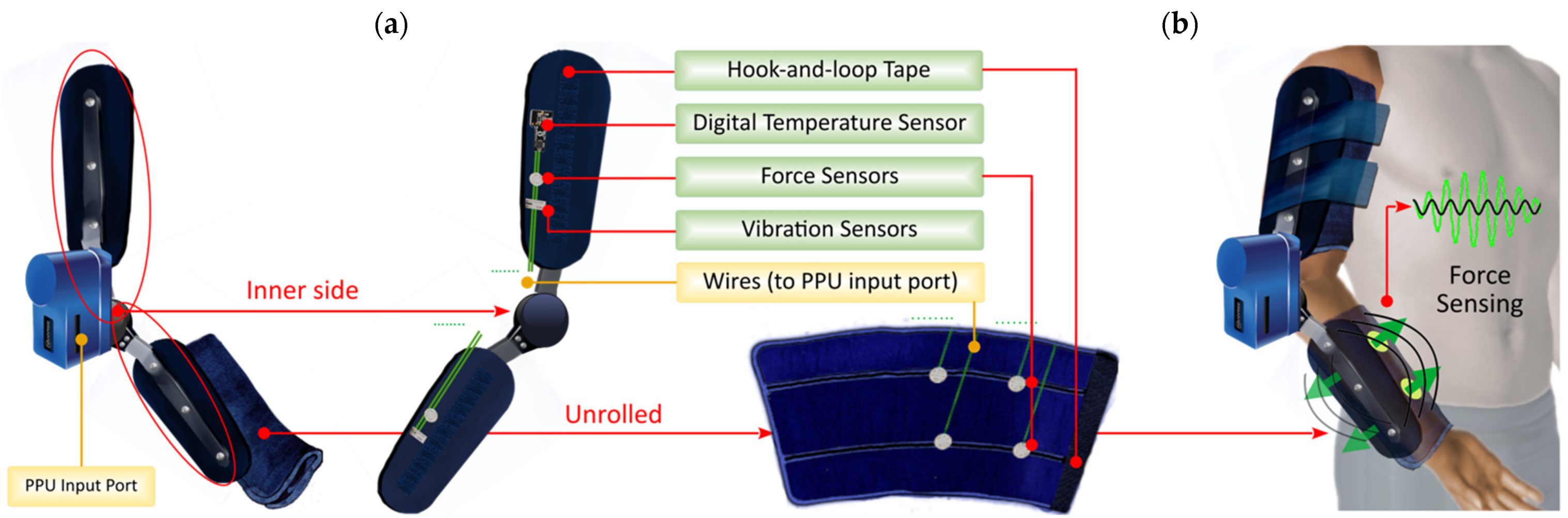 Sensors 21 05411 g005 550