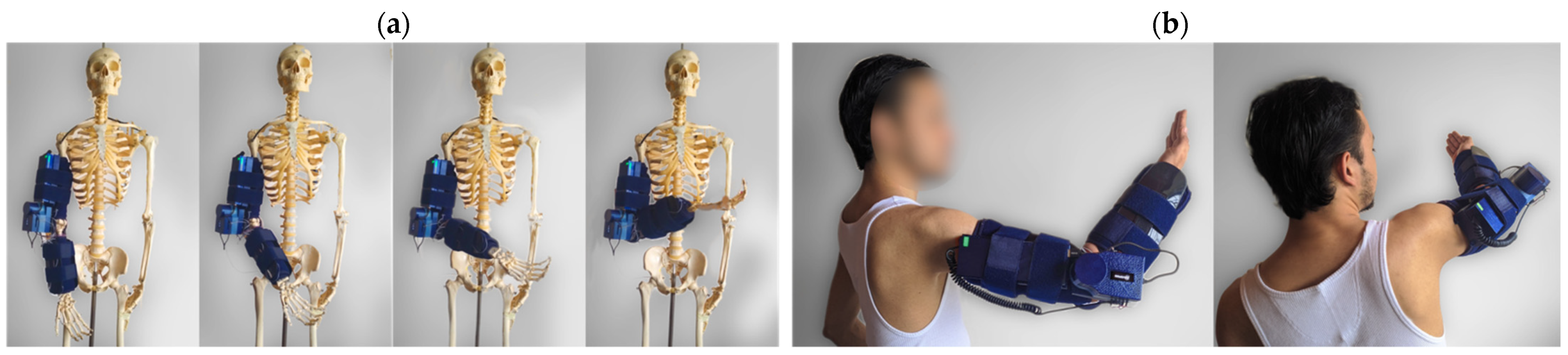 Sensors 21 05411 g010 550