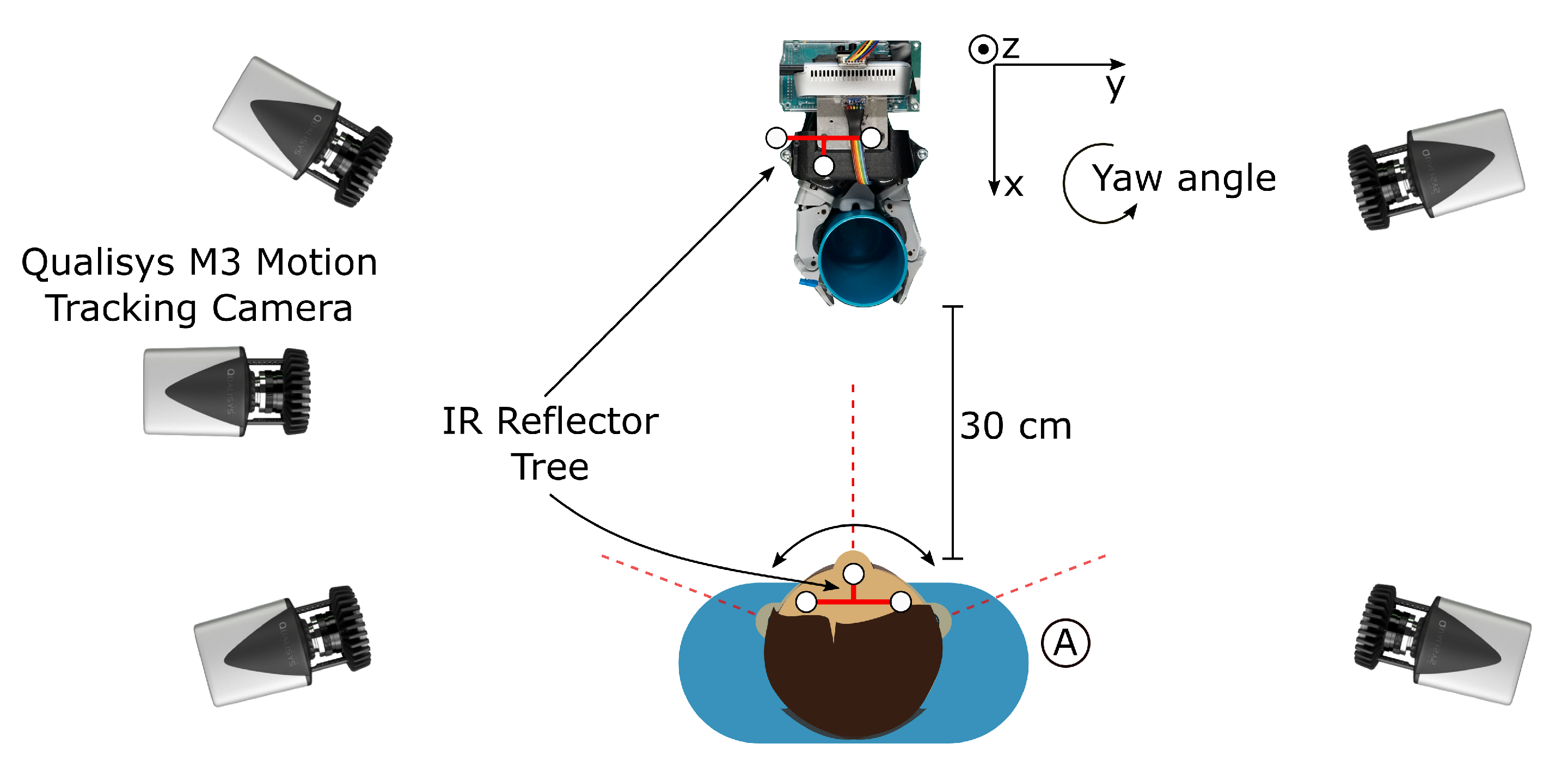 Sensors 21 05419 g009 550