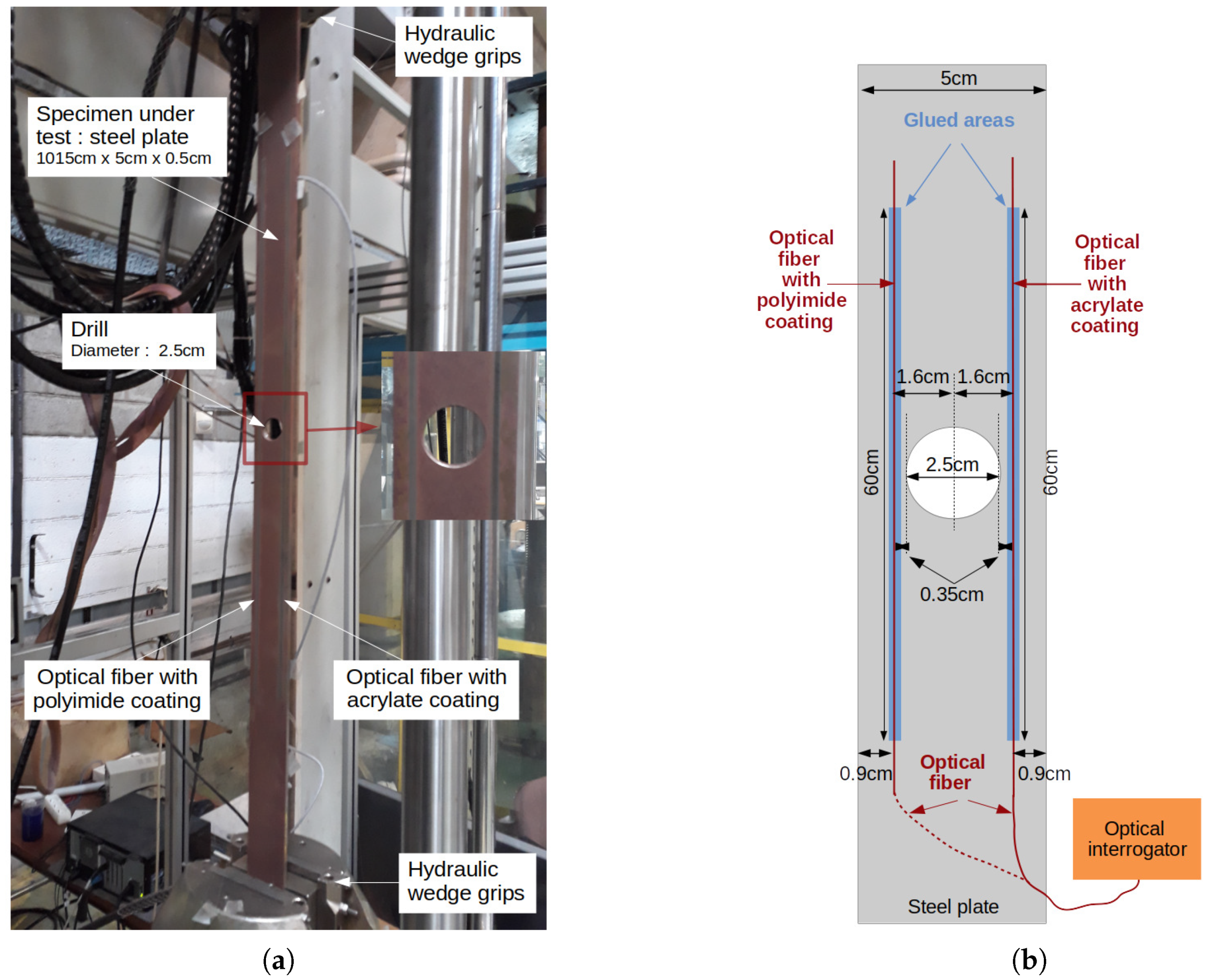 Sensors 21 05423 g013