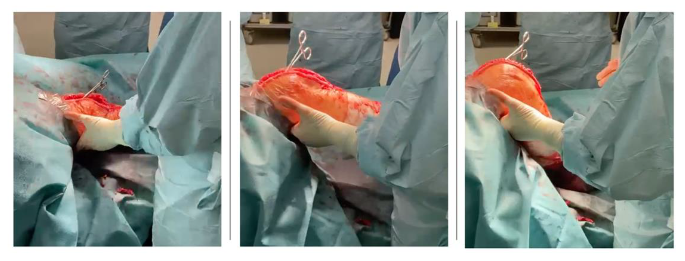 Sensors 21 05427 g006 550